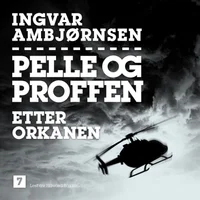Etter orkanen