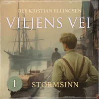 Stormsinn