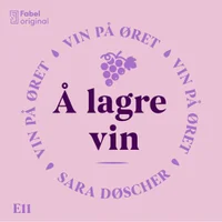 Vin på øret #11 Å lagre vin