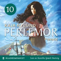 Prøvetid