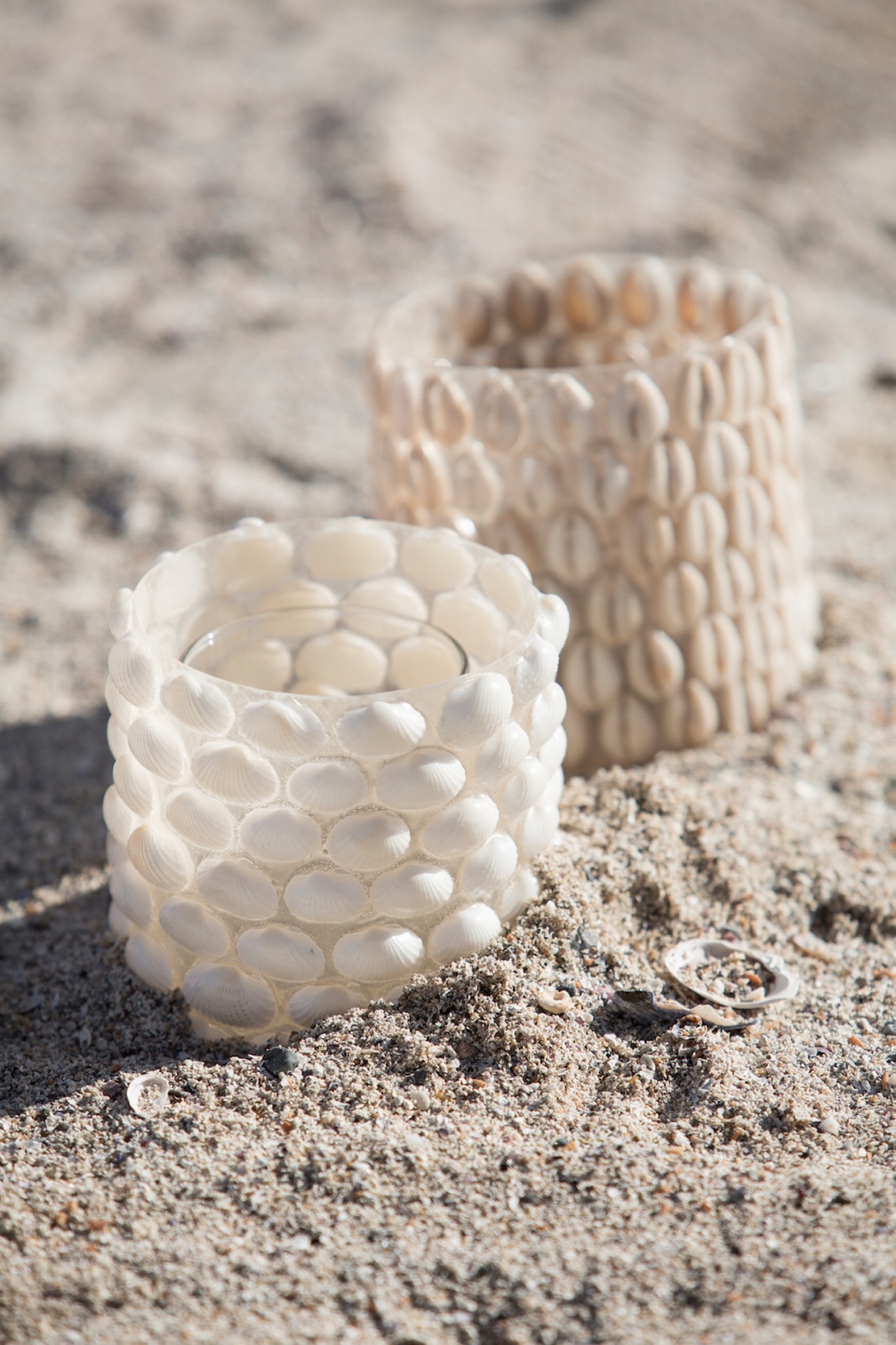 Lama telysholder med skjelldekor assorterte