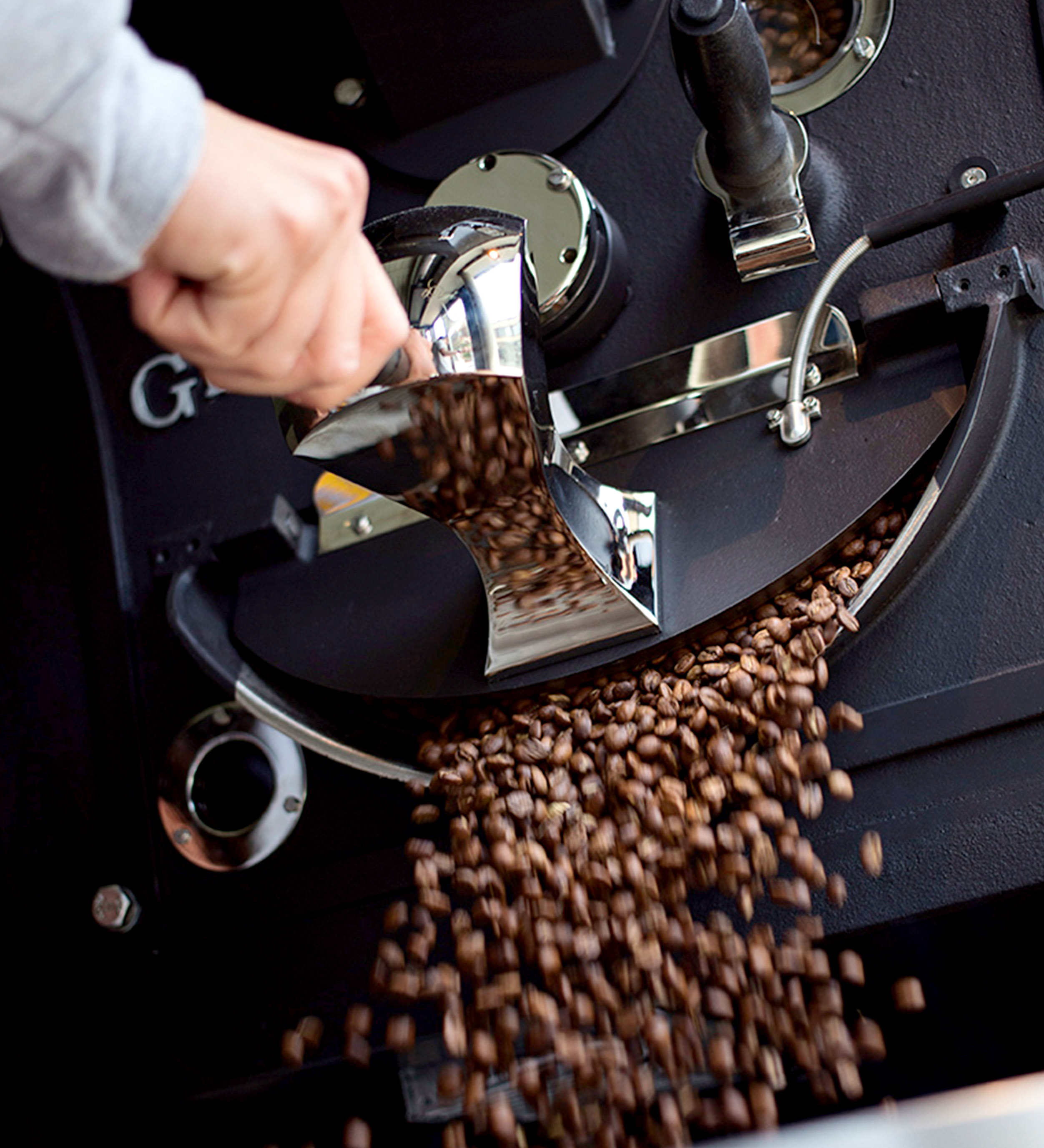 Finished coffee beans coming out of the roaster