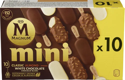 Mini Ice Cream Sticks
