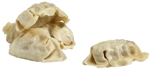 Vegan Gyoza Dumplings