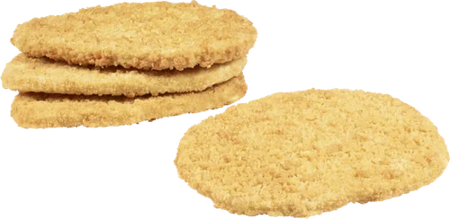 Crunchy Vegan Wheat Schnitzel