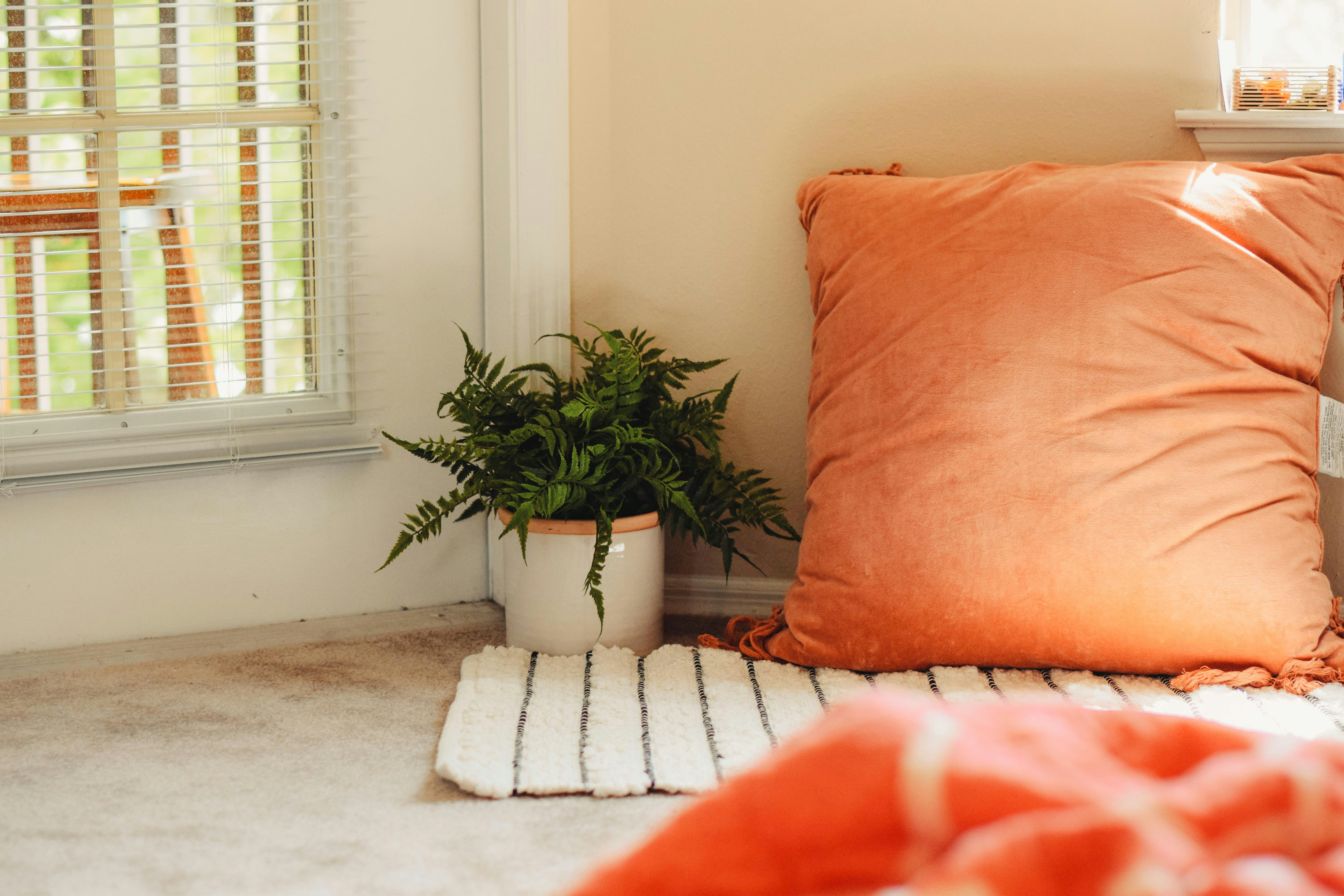 Cozy nook next to a window