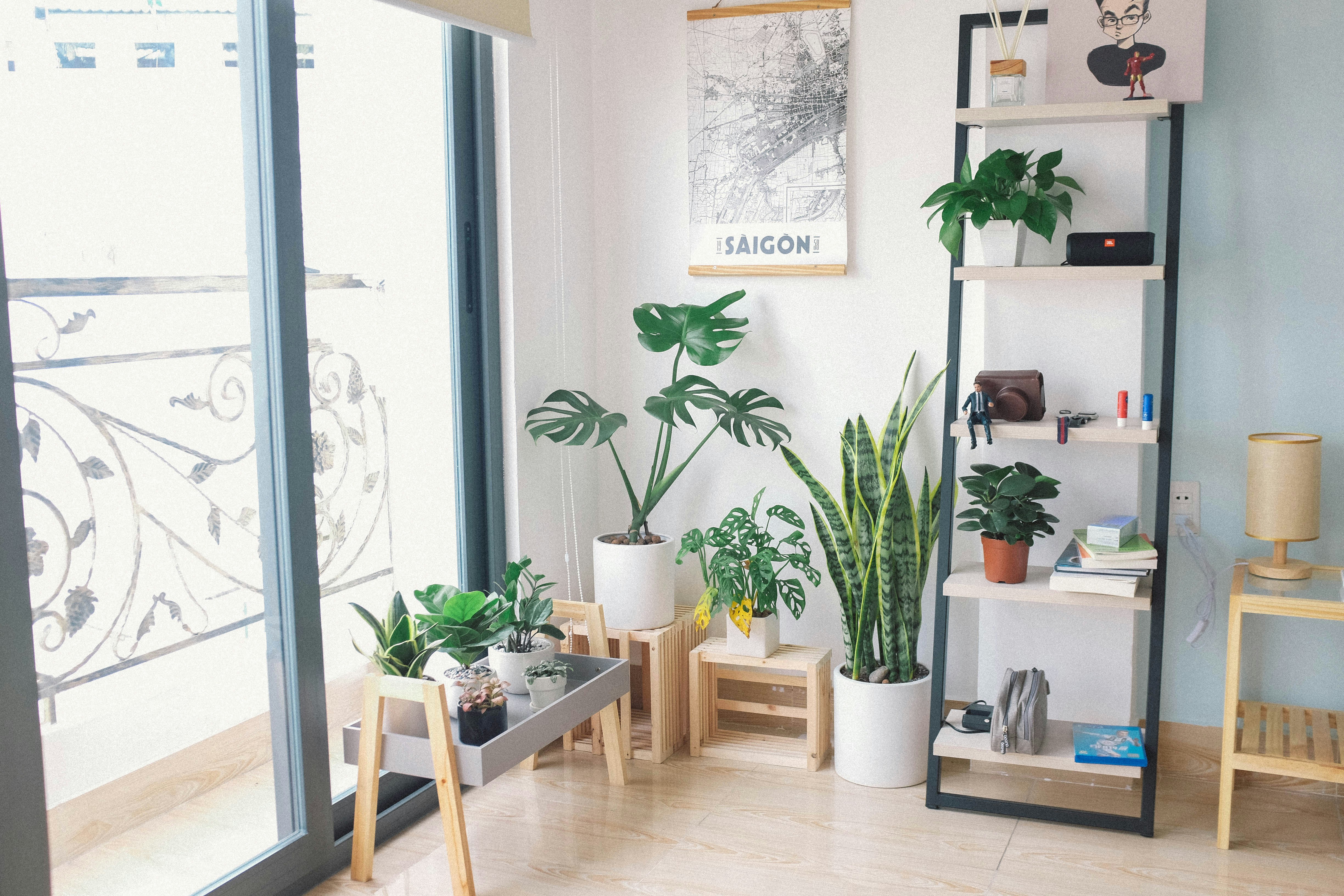 Indoor garden in an apartment with a bookcase 