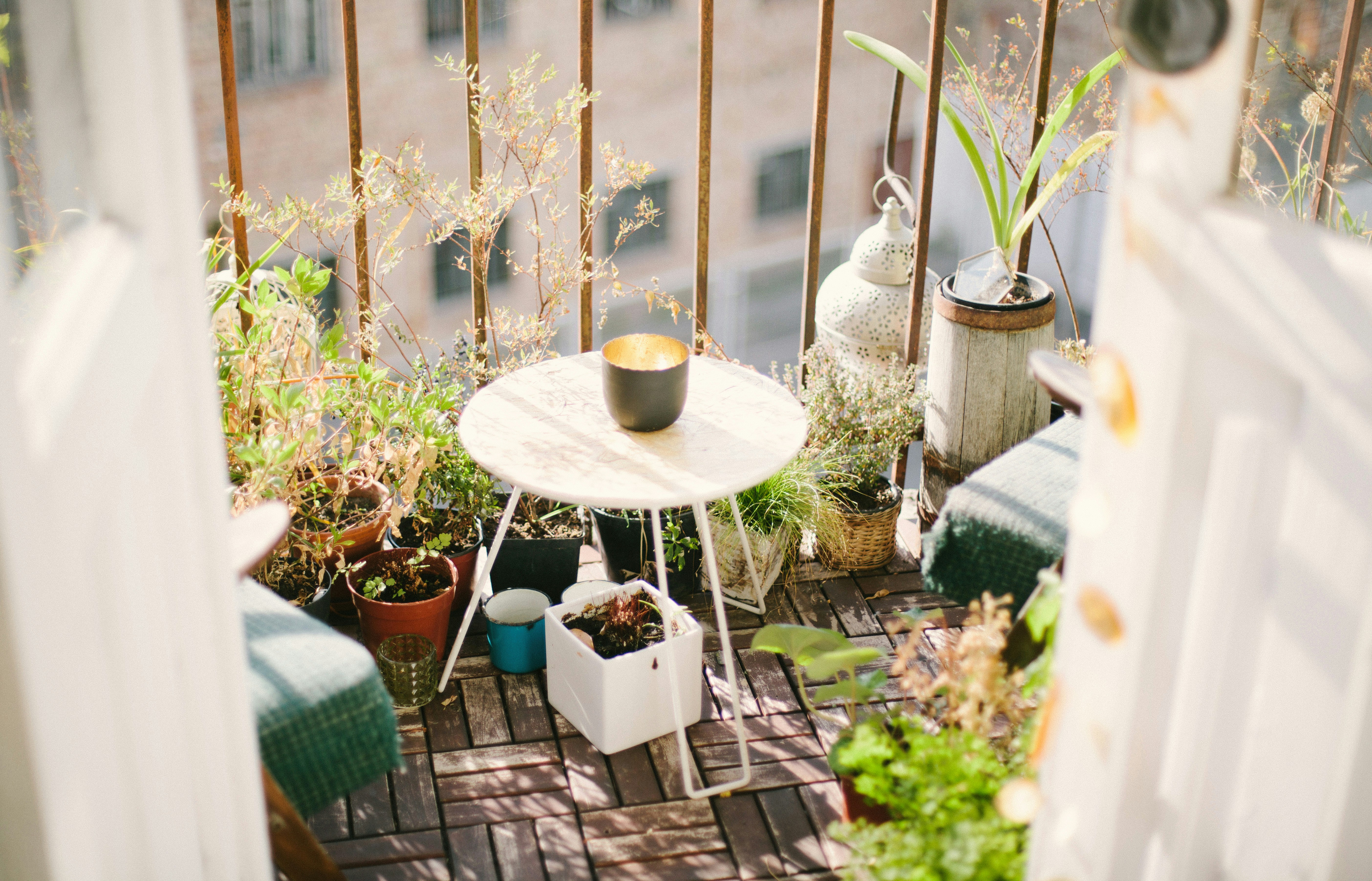 Plants on a balcony with furniture. 