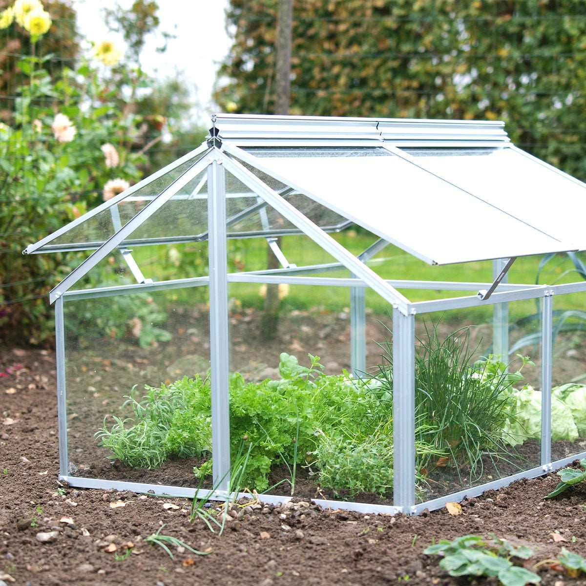 Balkongdrivhuset Gaia fullt av frodige krydderurter