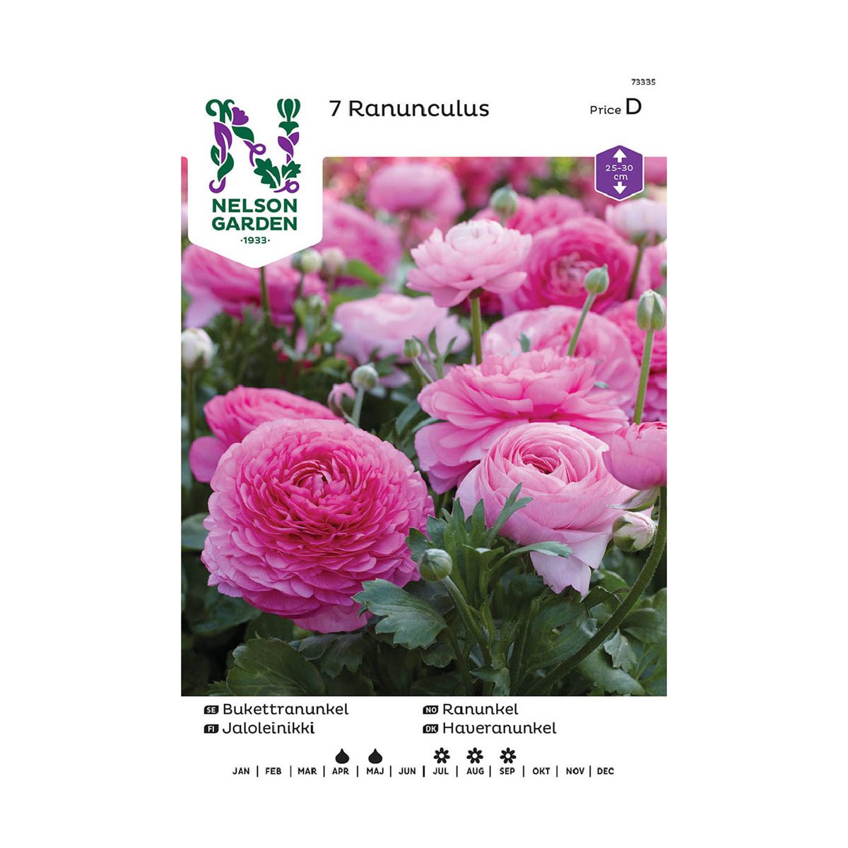 Nelson Garden blomsterløk - rosa ranunkel ranunculus