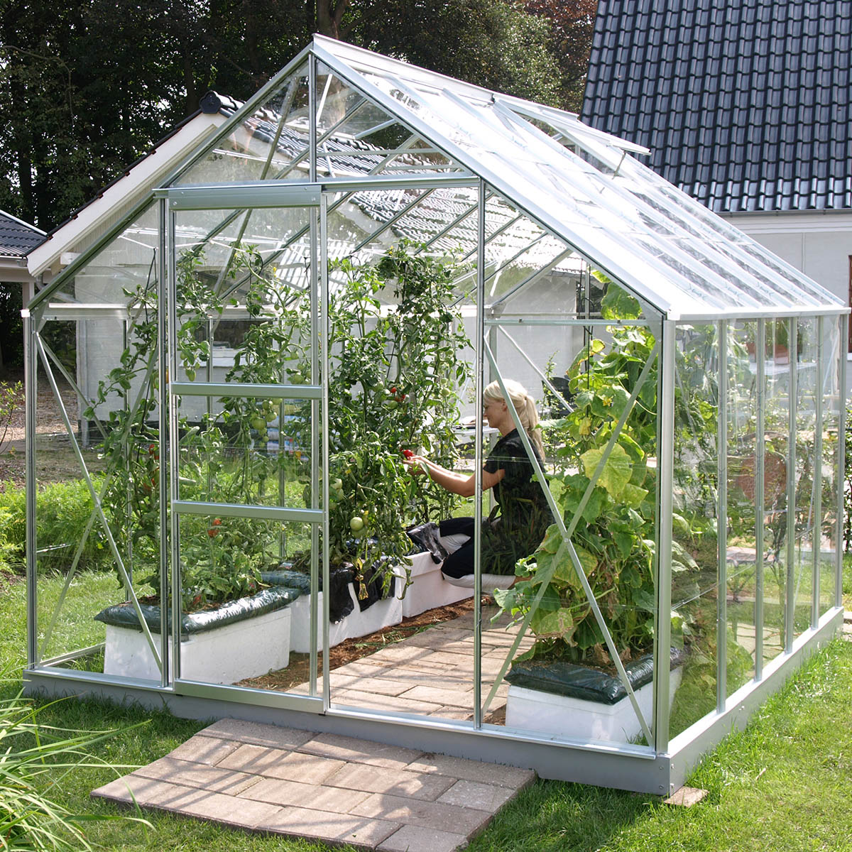 Drivhus Merkur 6700, 8300, 9900 og 11500 med glass er et kvalitetsveksthus med 2,57 cm bredde og en enkel skyvedør med låsemekanisme for å holde døren i ønsket stilling.