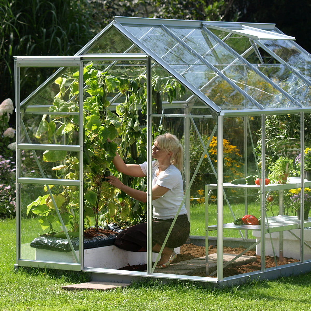 Drivhus Venus 5000 er 5 m2 og et perfekt drivhus for hobbygartneren. Det har skyvedør i ene gavlen, er 2,57 m langt og1,93 m bredt. Drivhus Venus 5000 er 5 m2 og et perfekt drivhus for hobbygartneren. Det har skyvedør i ene gavlen, er 2,57 m langt og 1,93 m bredt.