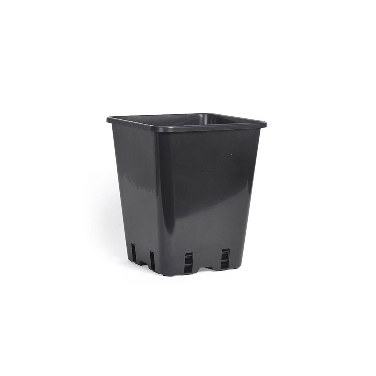 Firkantet, svart plastpotte til potteplanter, blomsterløk og samplantinger.