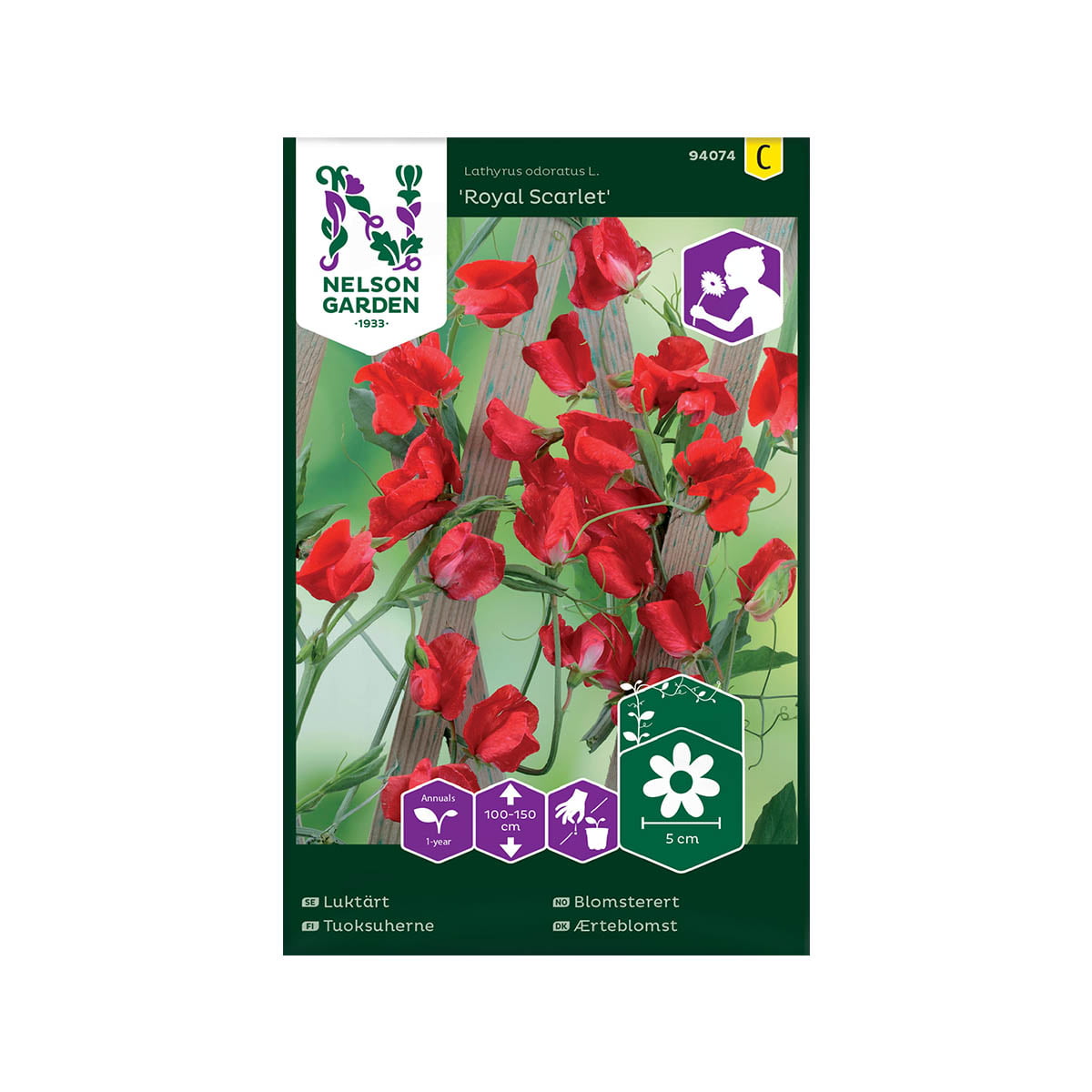 Vakker og velkjent slyngplante med mengder av lysende røde, duftende, langstilkede blomster.