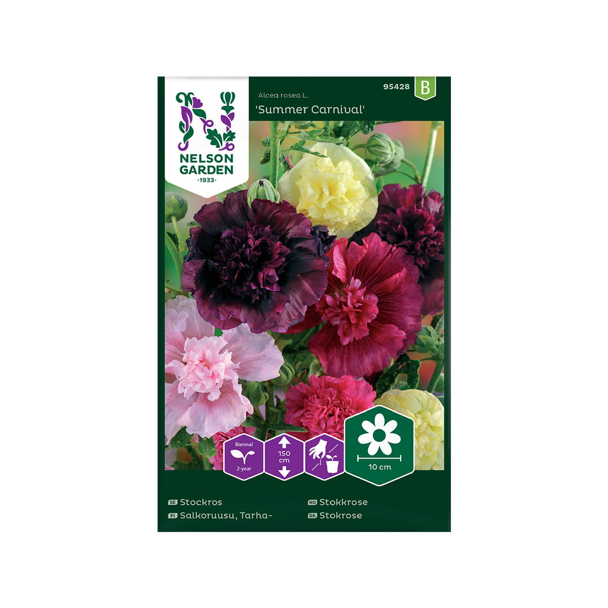 Vakker og riktblomstrende. De fylte blomstene varierer fra hvitt, gult og rosa til mørk rød.