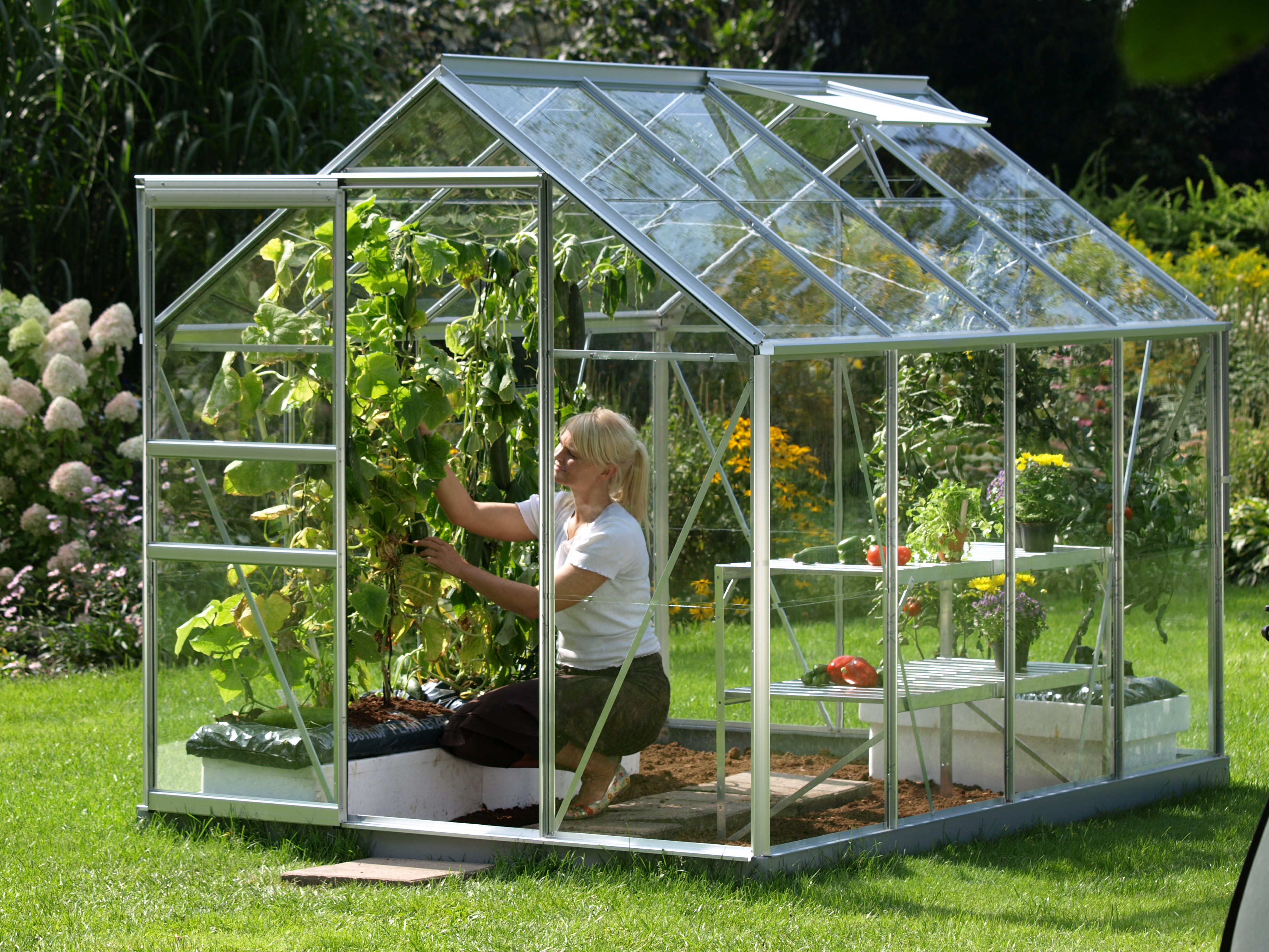 Drivhus i glass og aluminium til hagen på  5m2, kalles Venus drivhus. Bilde med dame og grønnsaksplanter.