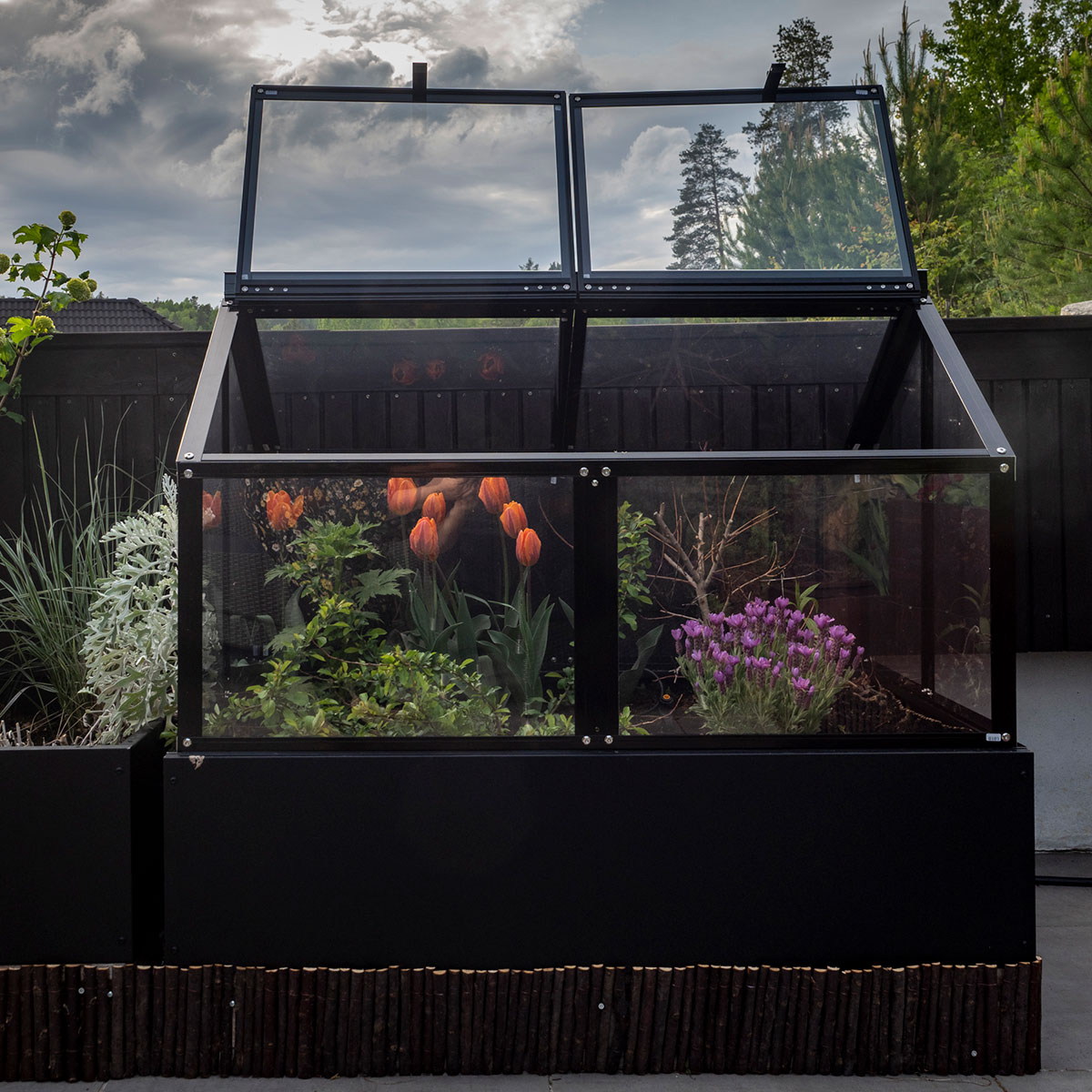 Gaia premium drivhus til pallekarm i sort aluminium og pleksiglass med åpen takluke.