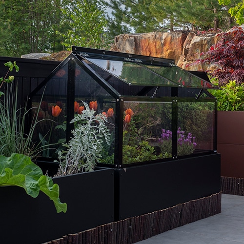 Gaia premium drivhus til pallekarm i sort aluminium og pleksiglass på plantekasse.