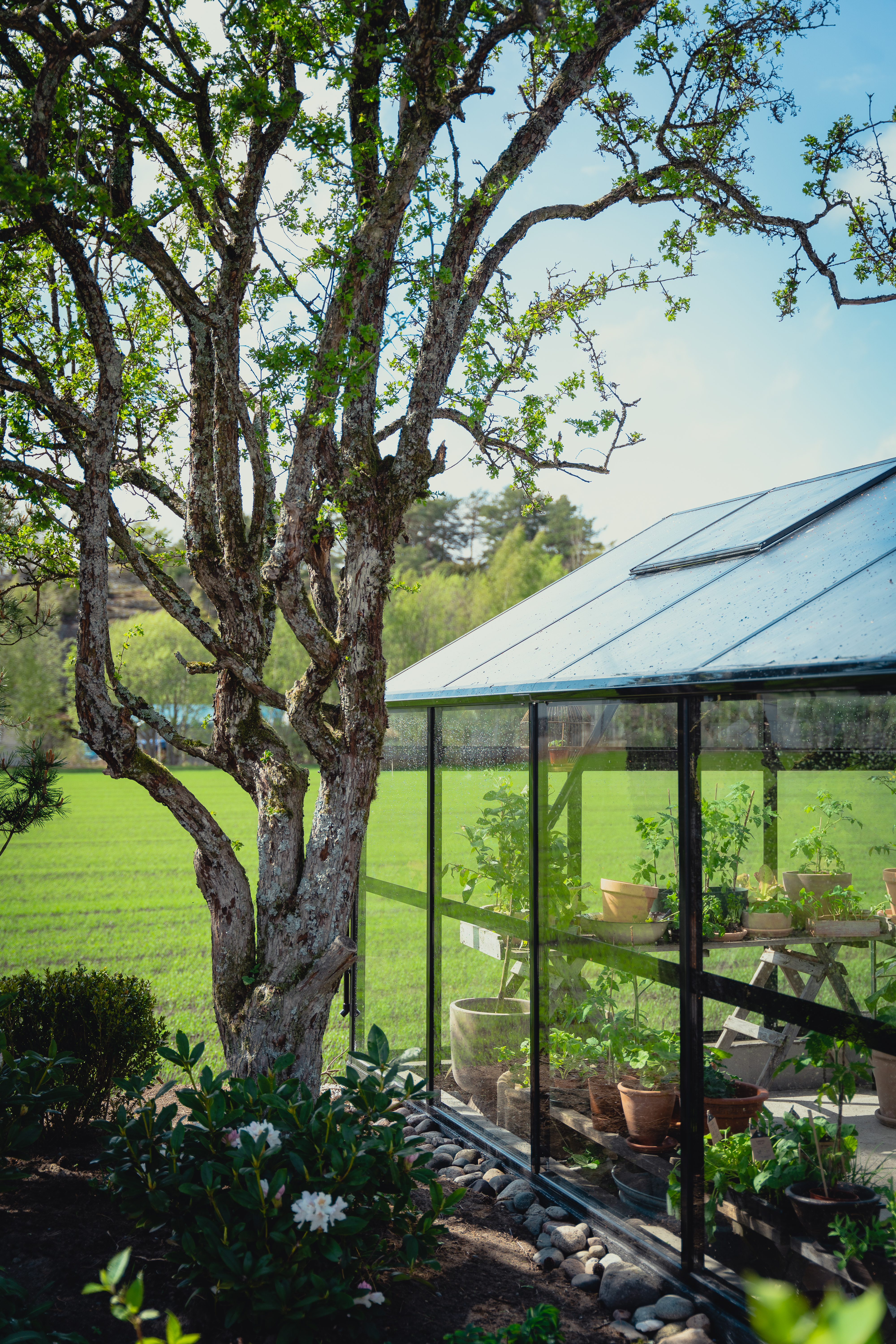 drivhus hageland i sort og glass