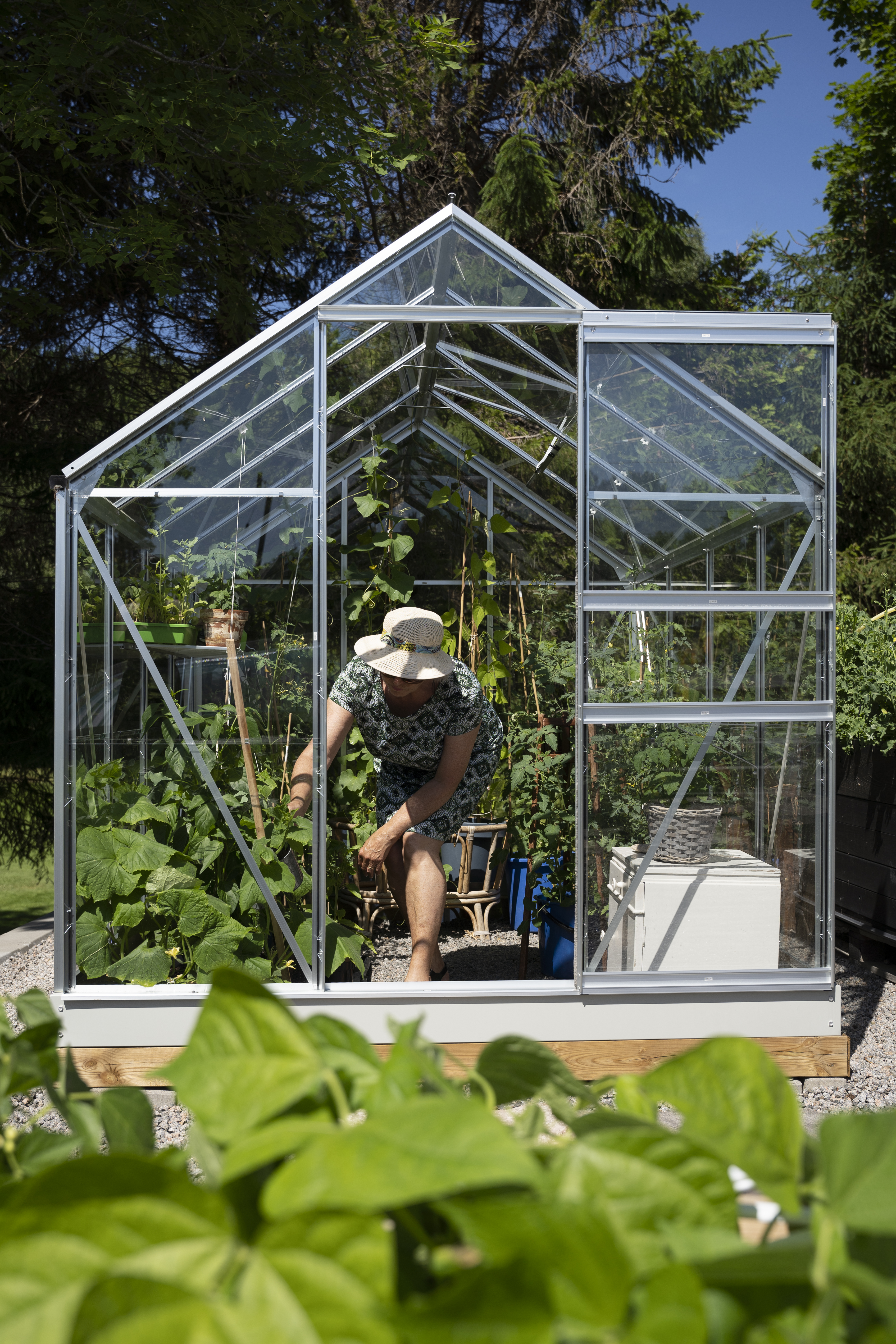 Et drivhus i glass og aluminium med dame i som dyrker grønnsaker.