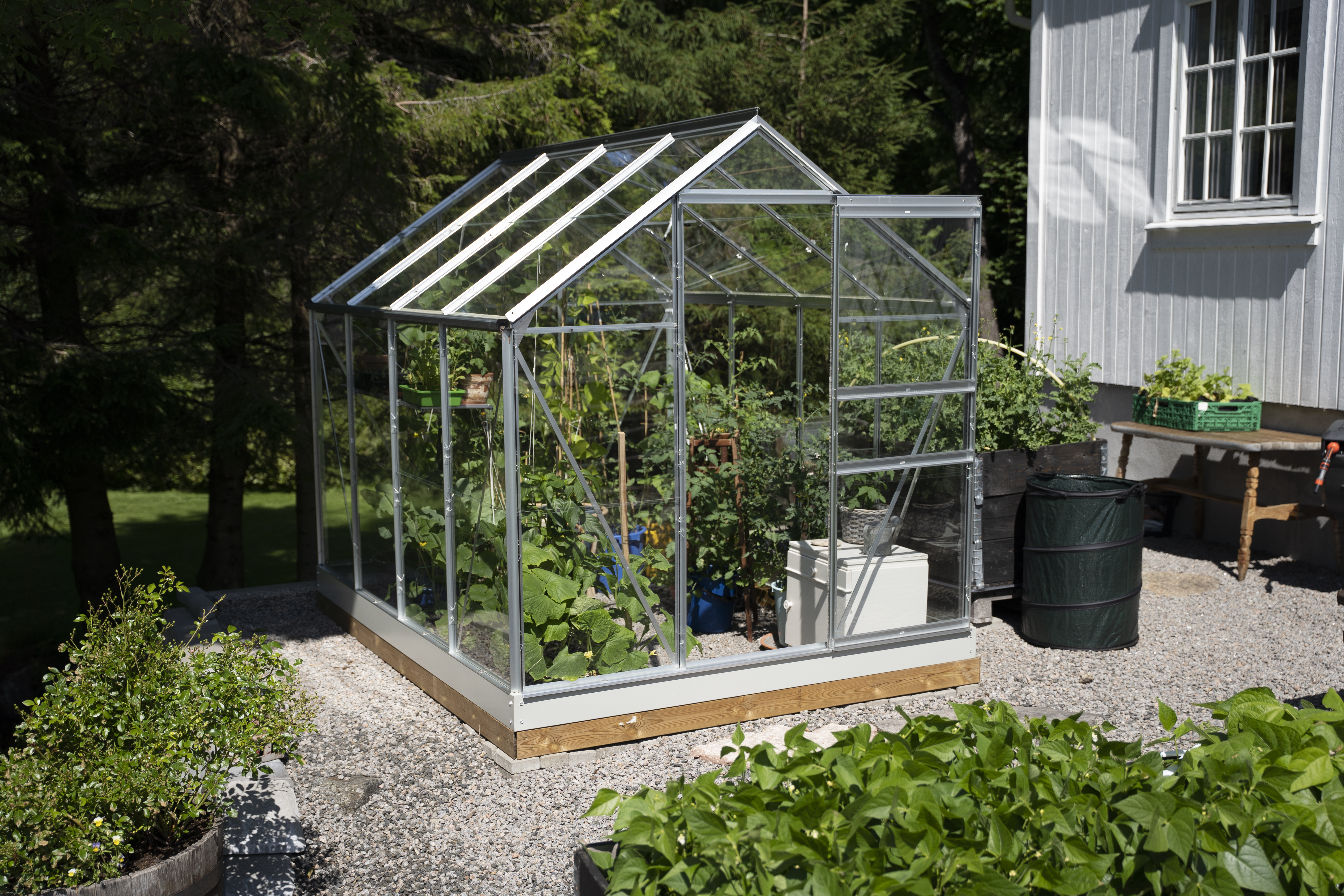 Drivhus i glass og med skyvedør med masse grønnsaksplanter inni.