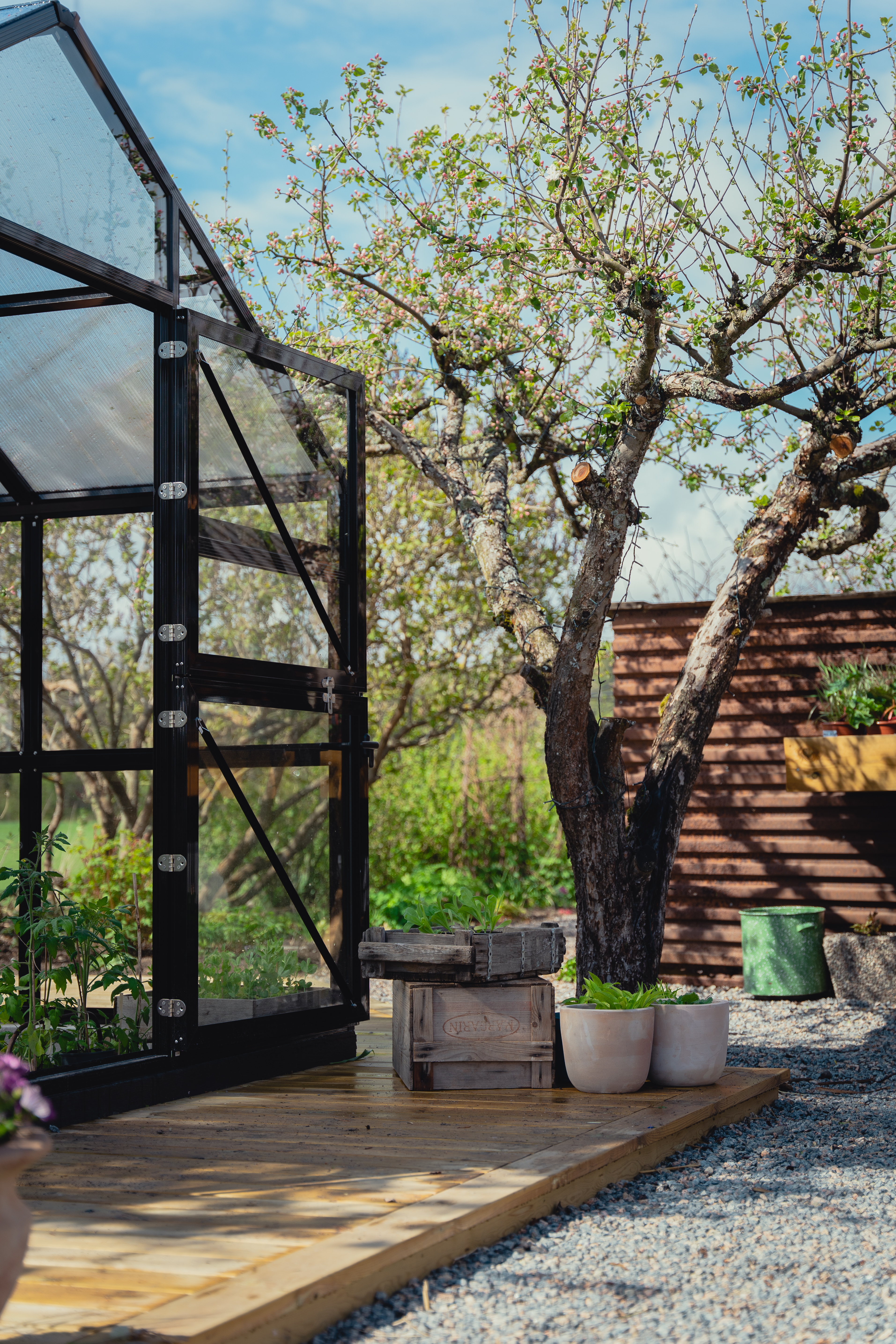 hageland drivhus med skyvedør og epletre