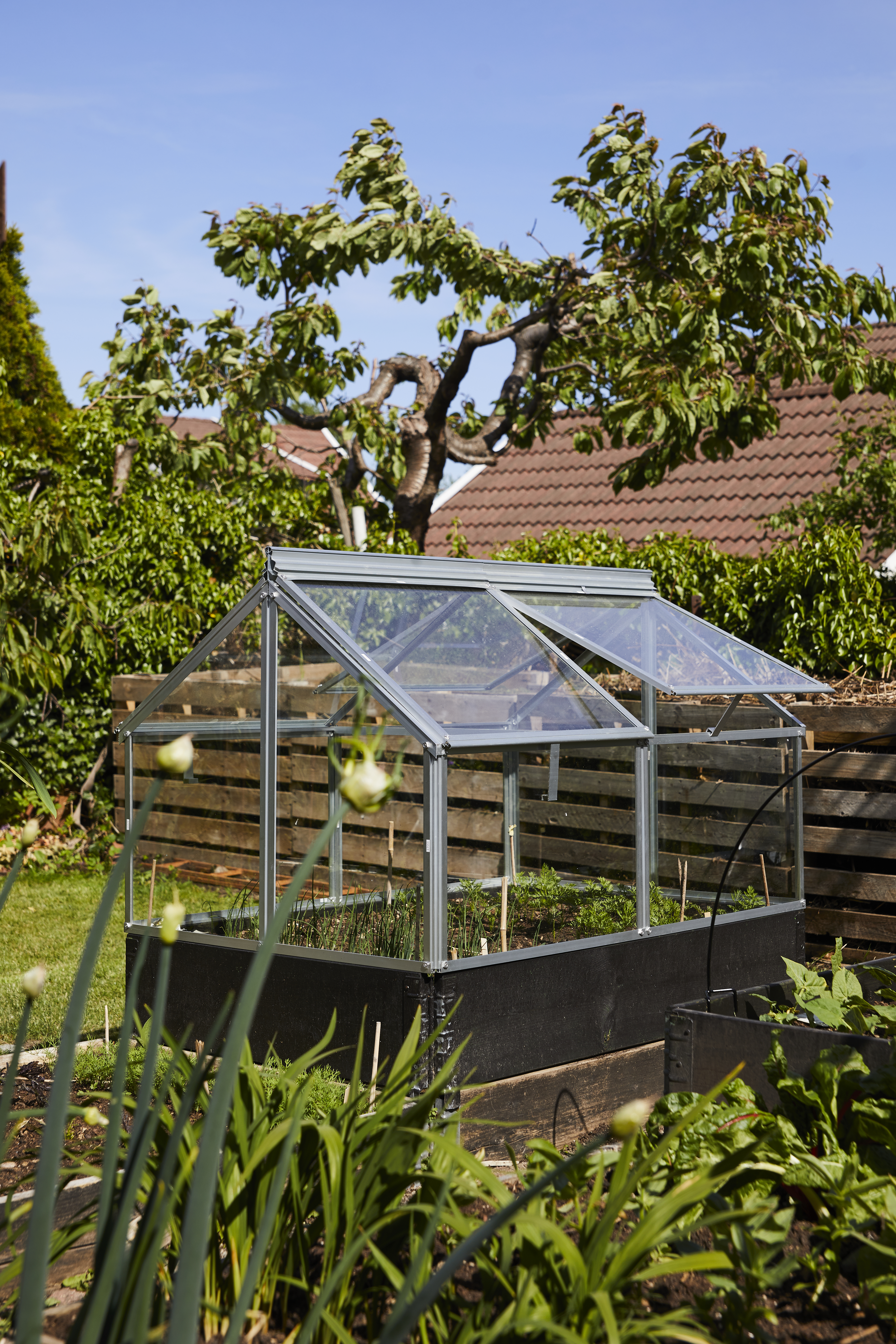 Et drivhus i glass og aluminium plassert på pallekarm som er malt brun.