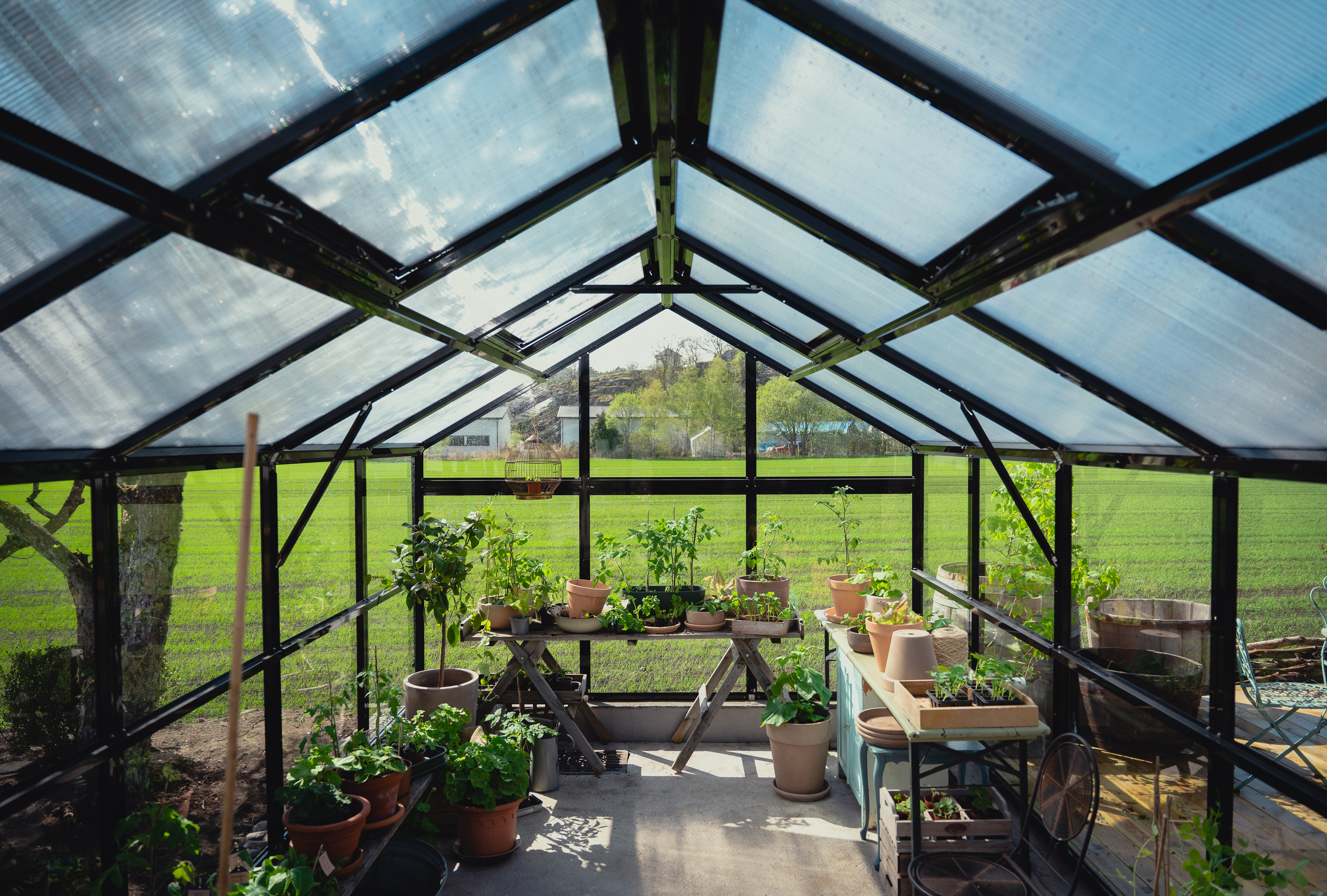 hageland drivhus innvendig og tak med polykarbonatplater