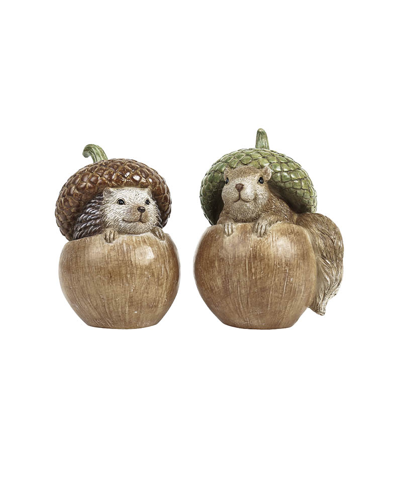 wintertime ekorn og pinnsvin i nøtt