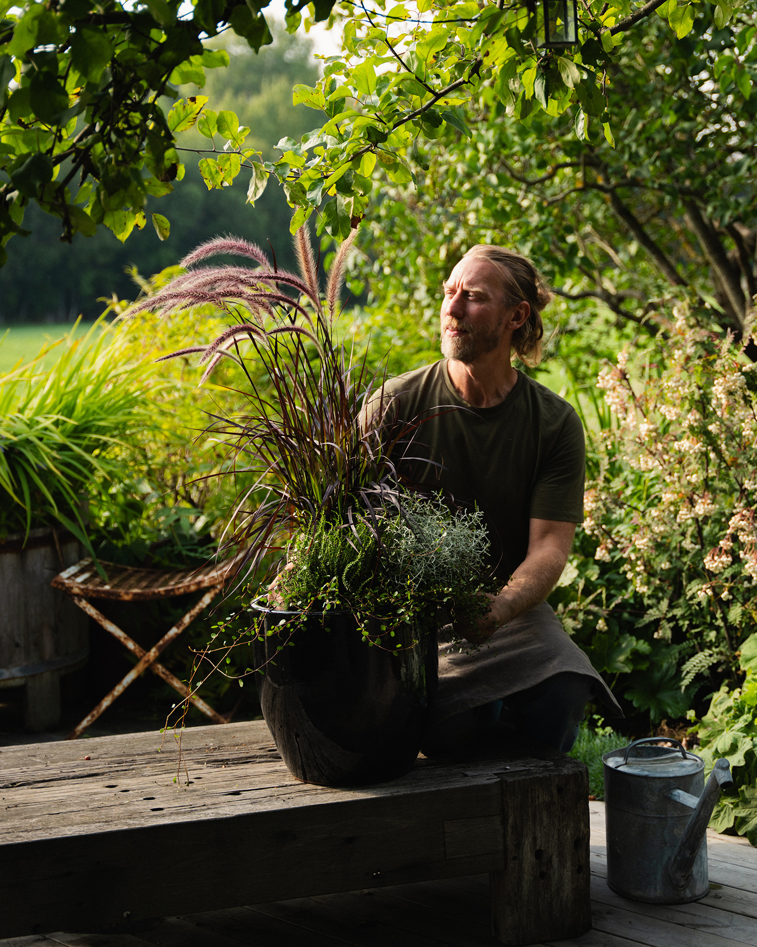 Høstplanter høstblomster