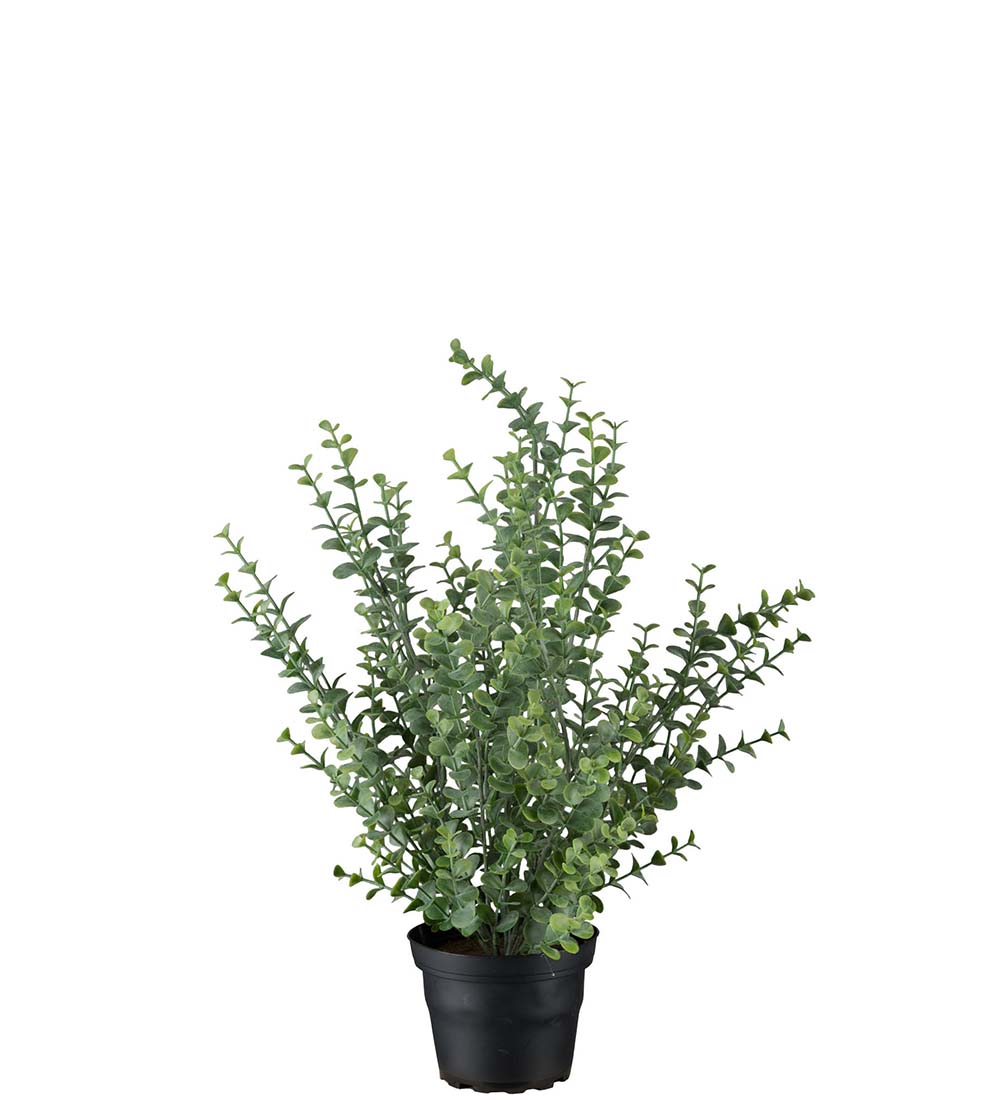 Eucalyptus kunstig 40cm