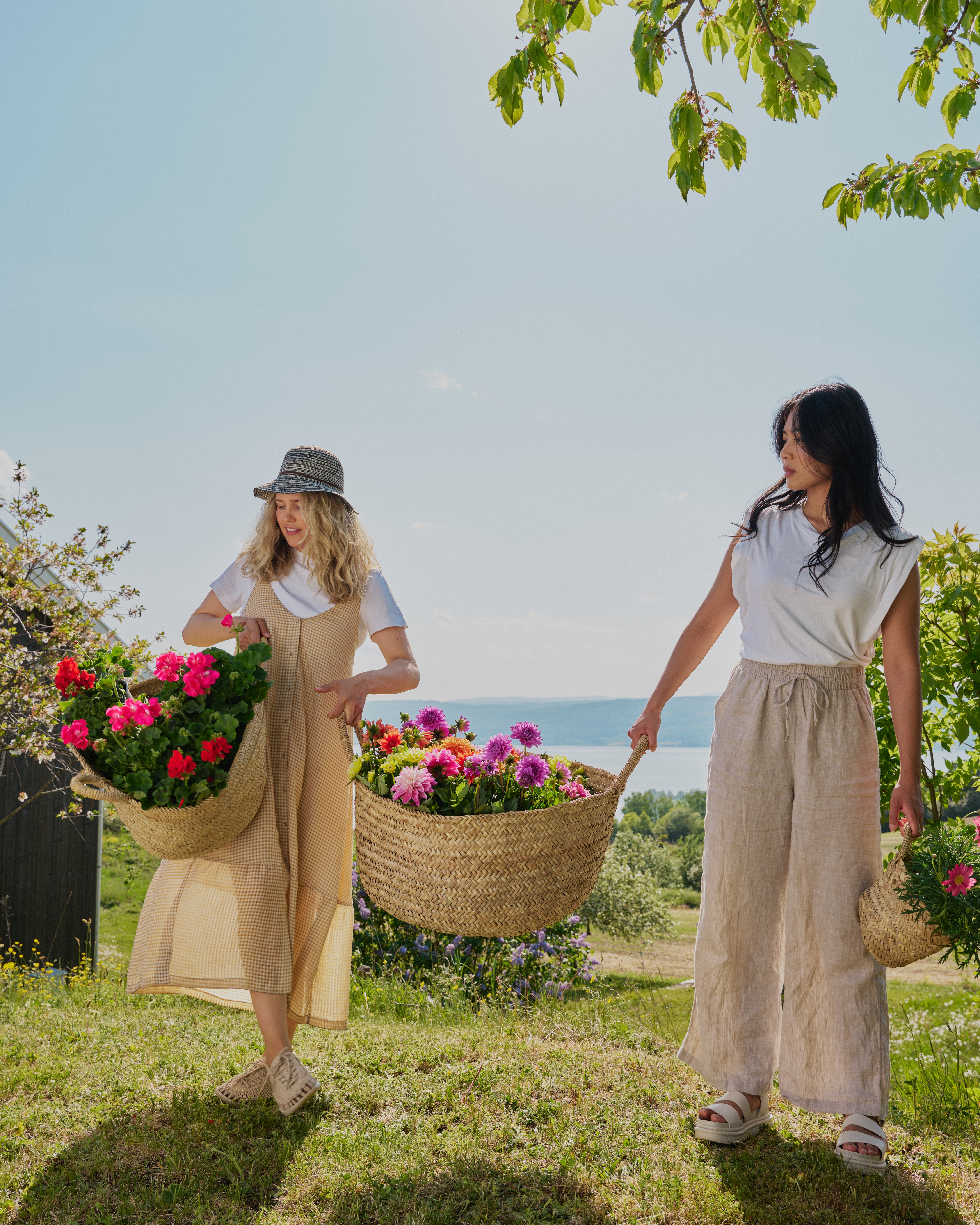 Georginer og andre sommerblomster i kurver