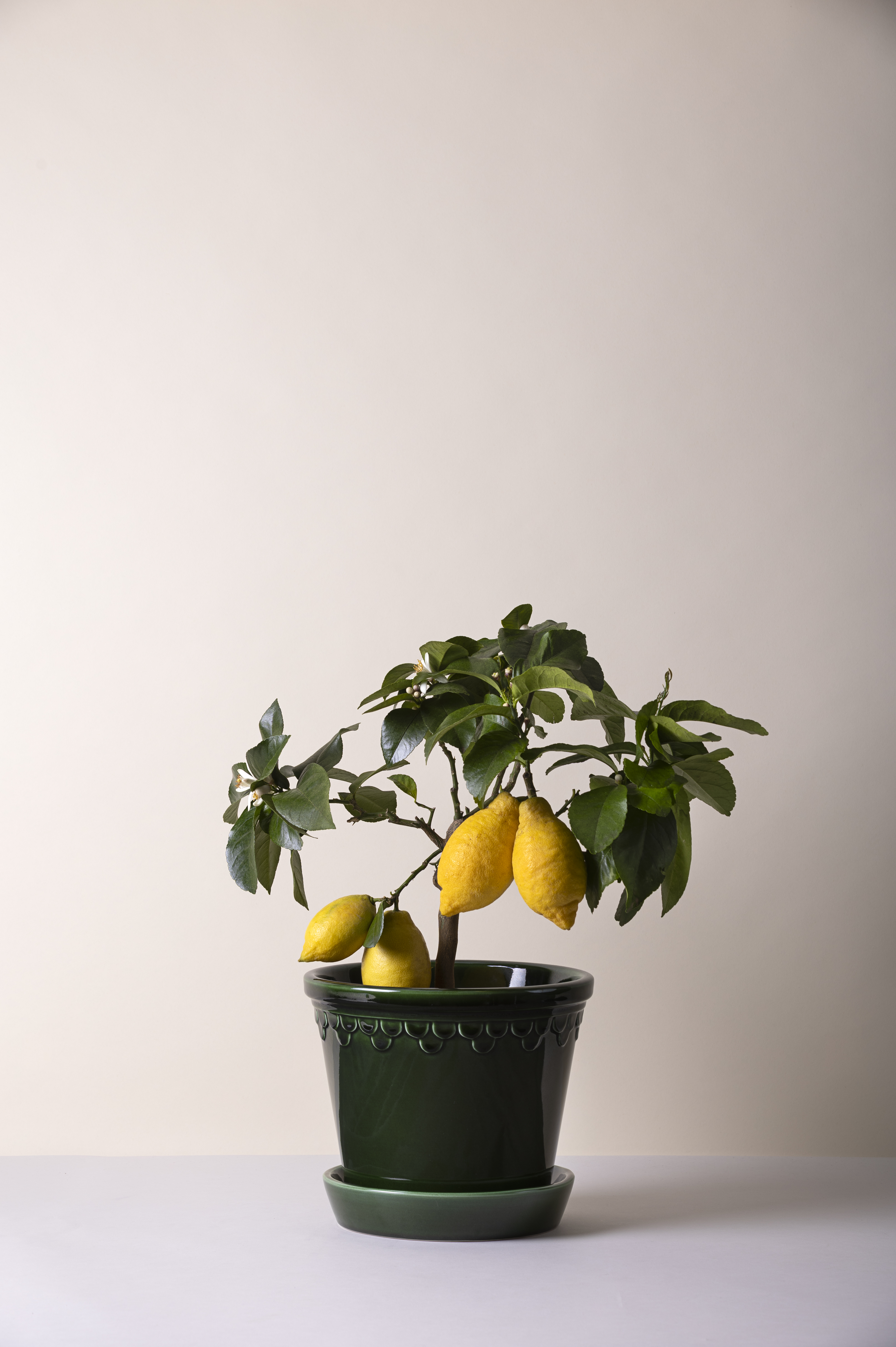 Bergs Potter emerald green Københavner 12 cm