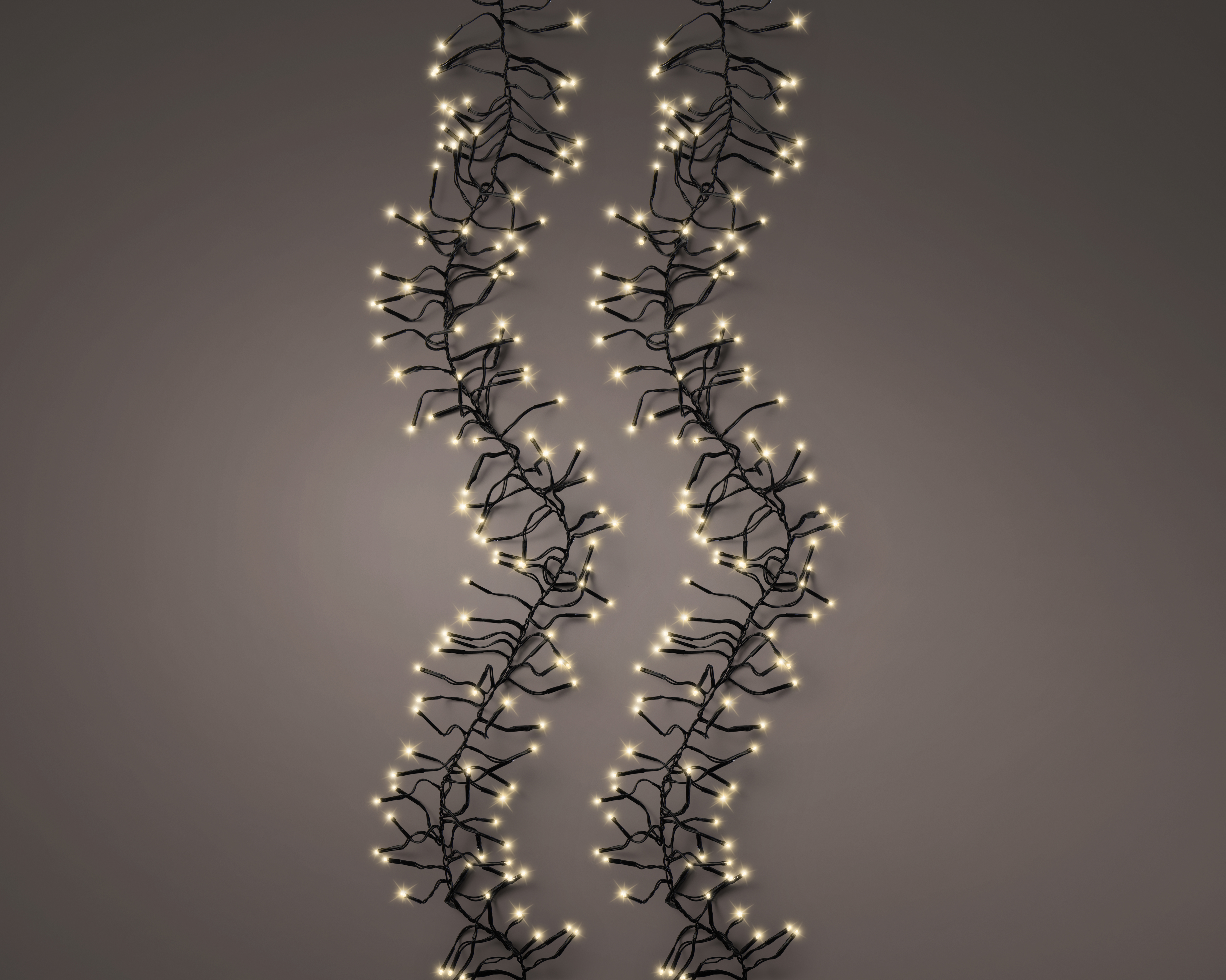 Lyslenke og lysslynge