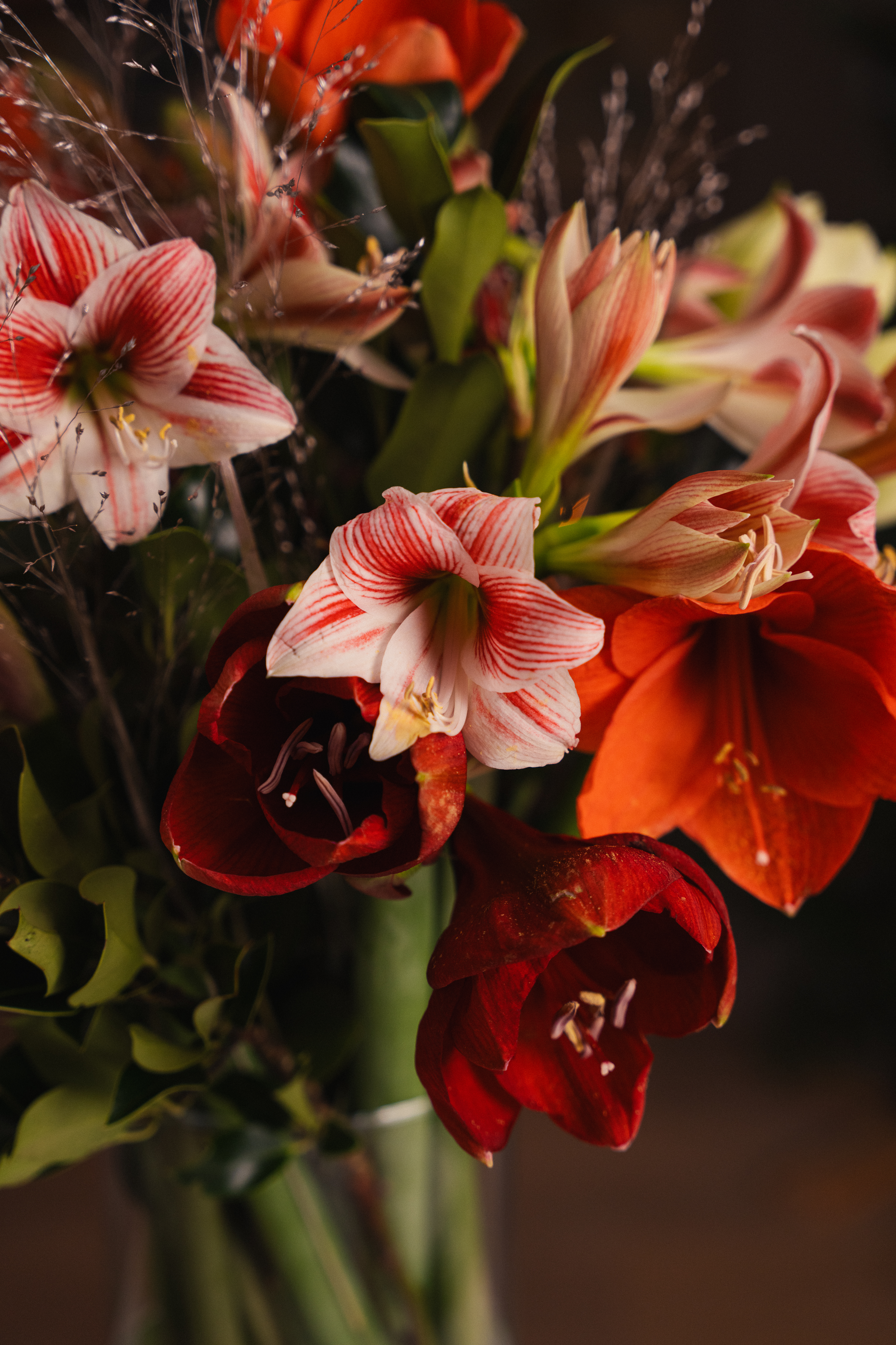 Amaryllis bukett snitt