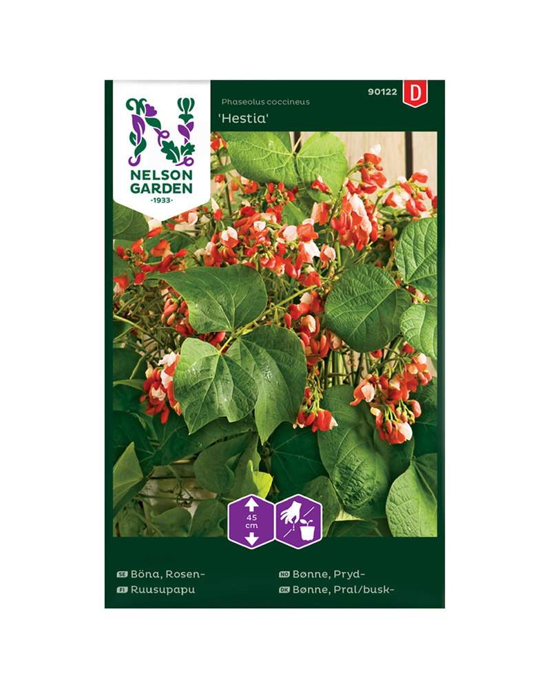 Prydbønne lav 'Hestia'