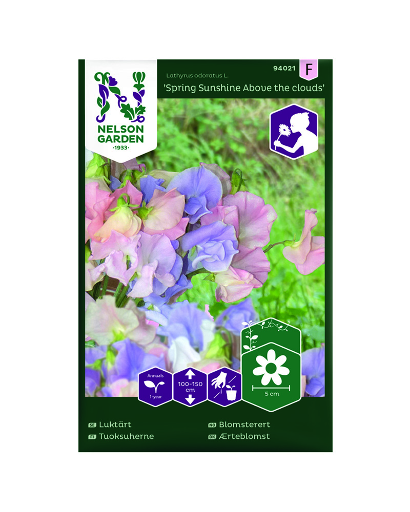 Blomsterert, Spring Sunshine Above the clouds