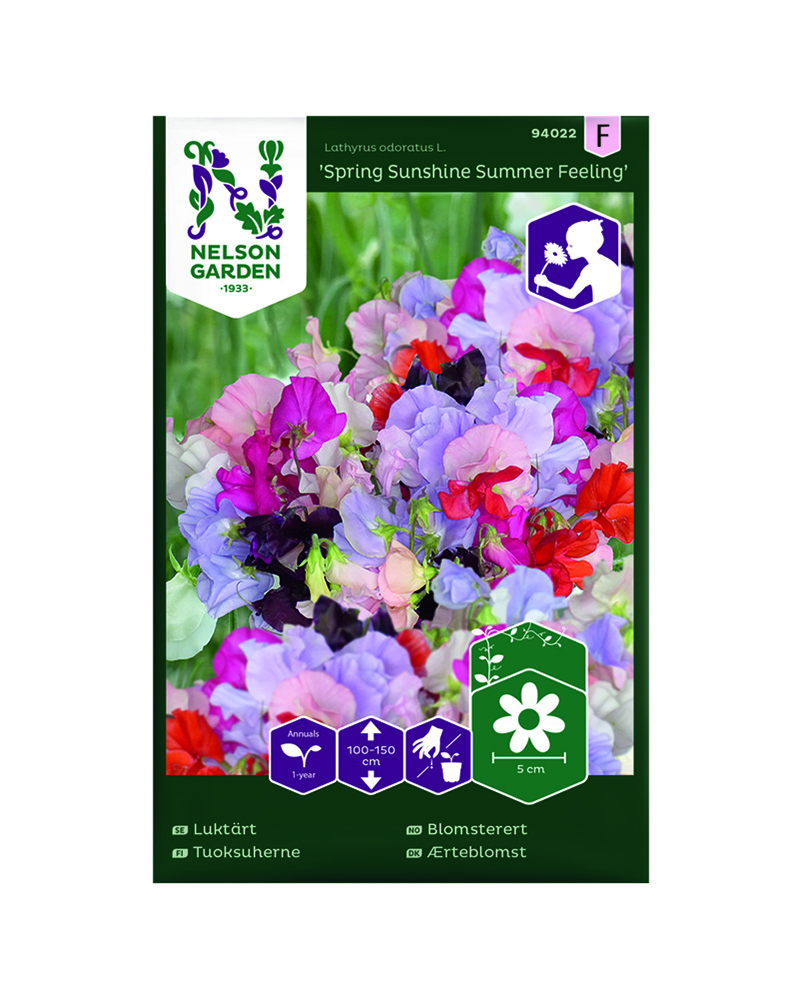 Blomsterert, Spring Sunshine