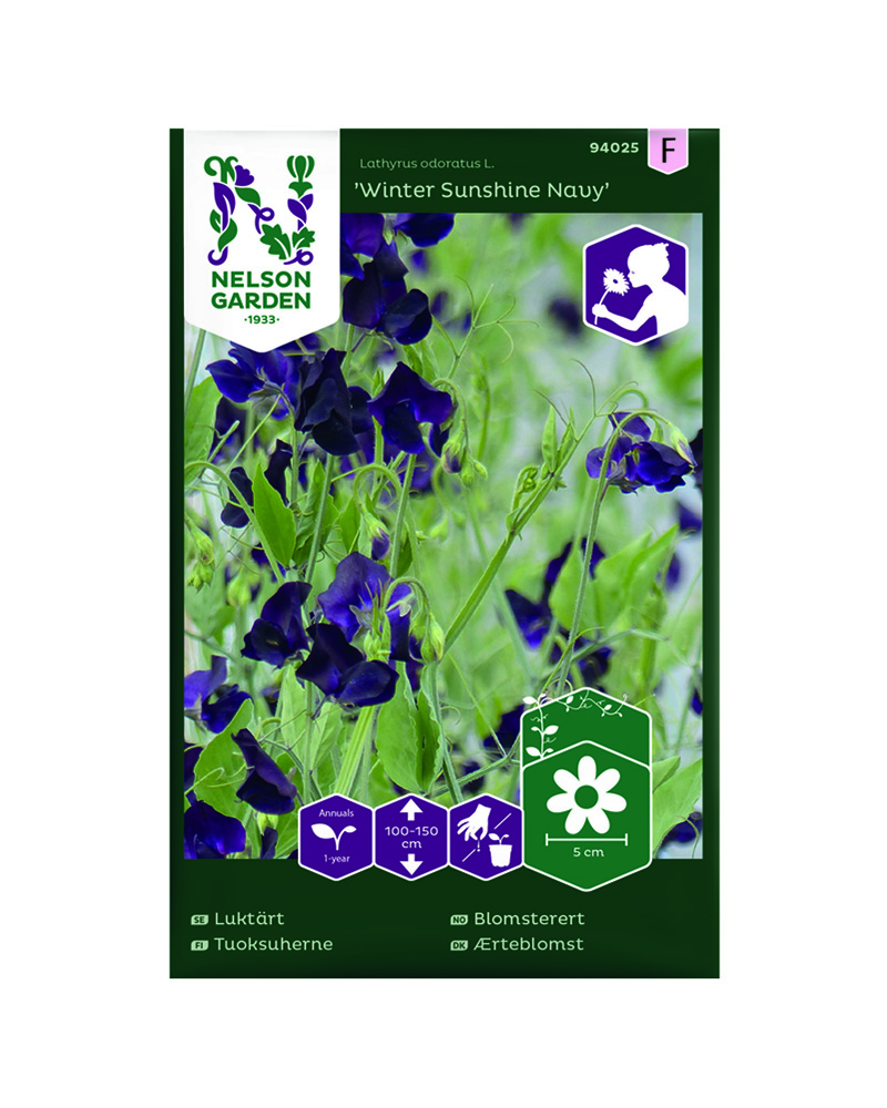 Blomsterert, Winter Sunshine Navy