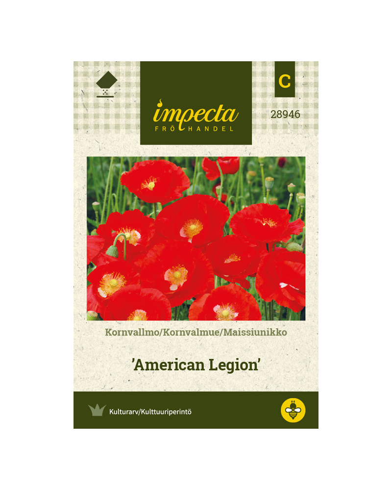 KORNVALMUE AMERICAN LEGION