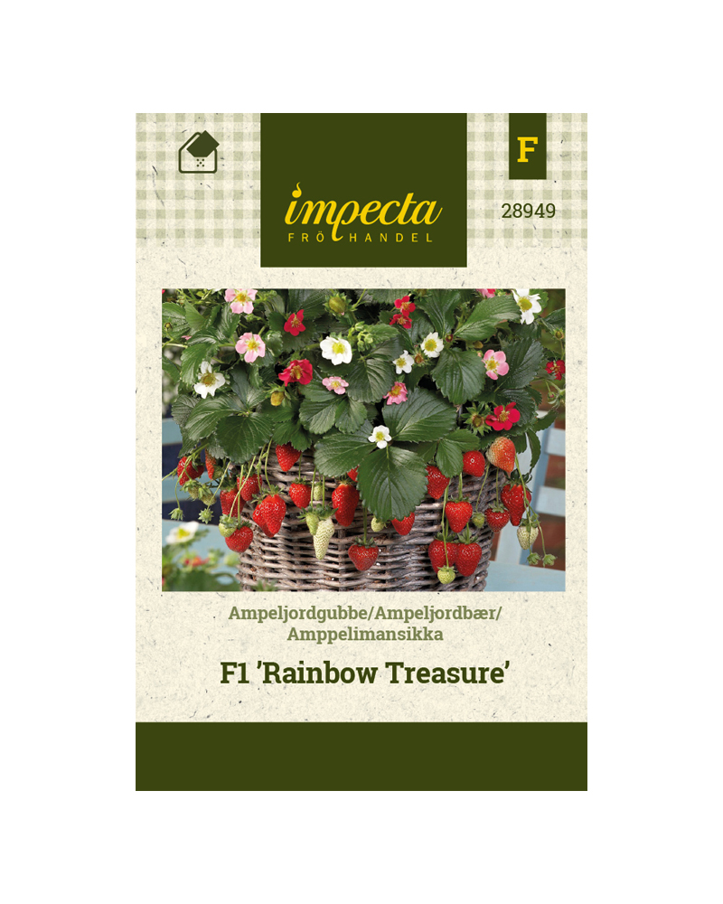 JORDBÆR F1 RAINBOW TREASURE