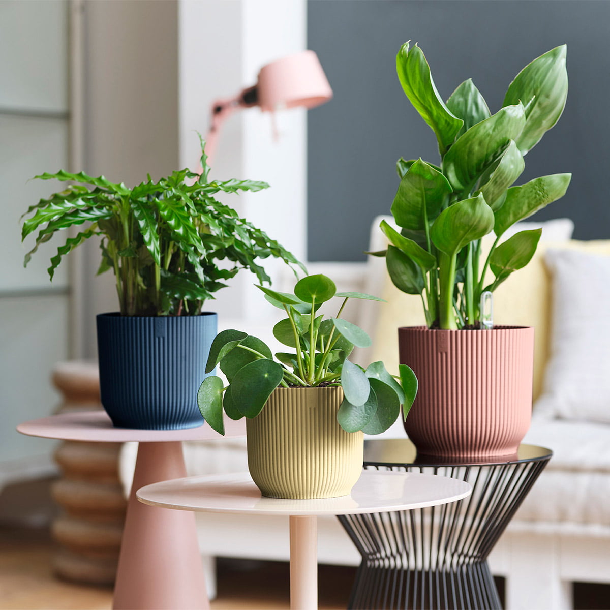 Potte for innendørs bruk med modernt dekorativt mønster på bord med planter