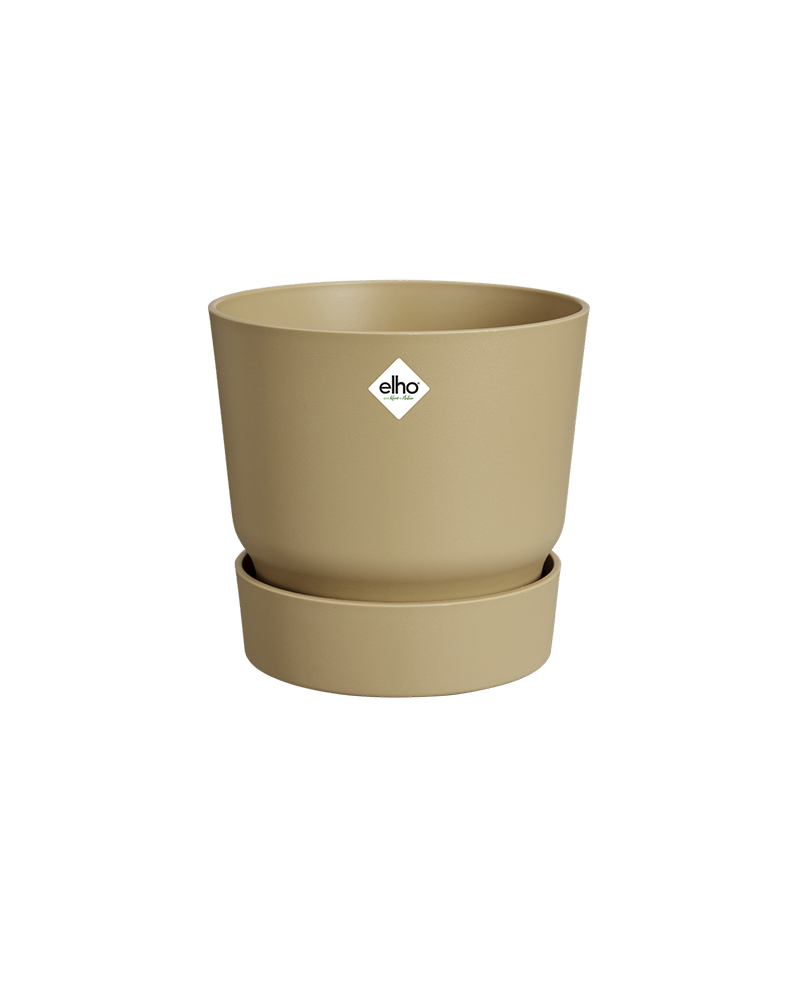 Greenville golden sand potte