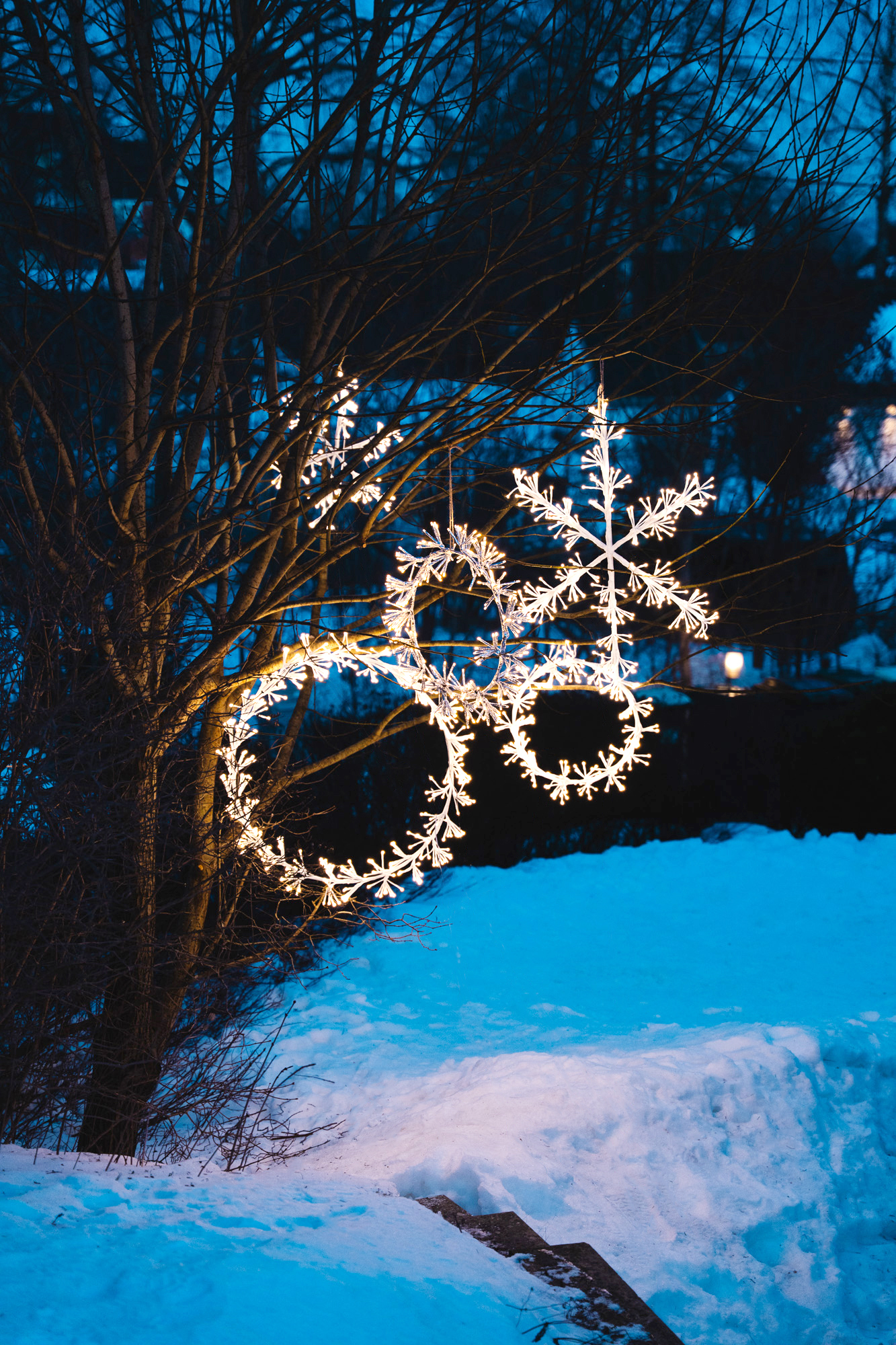julelys