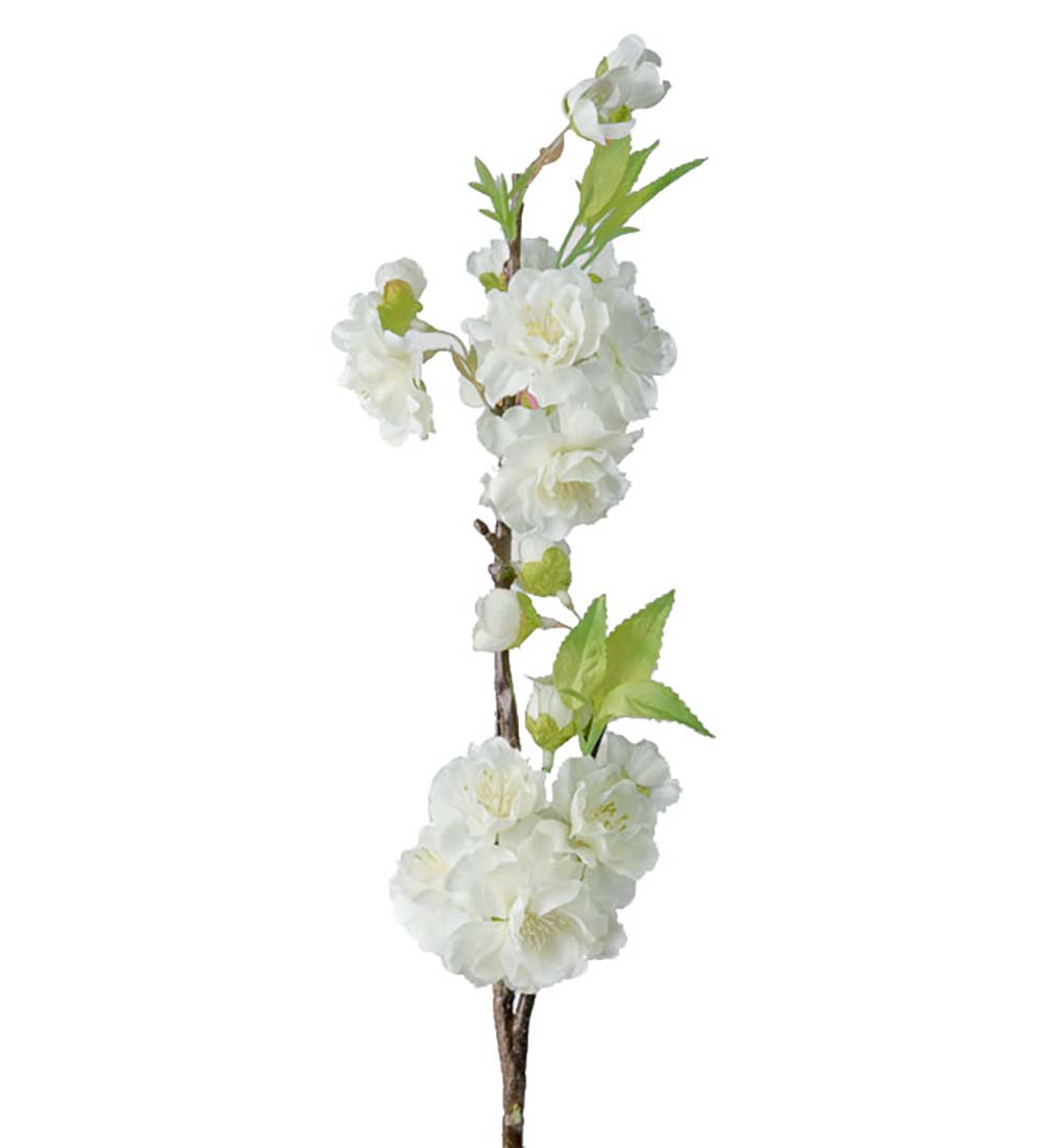 Kirsebærblomst hvit fyldig H42 cm