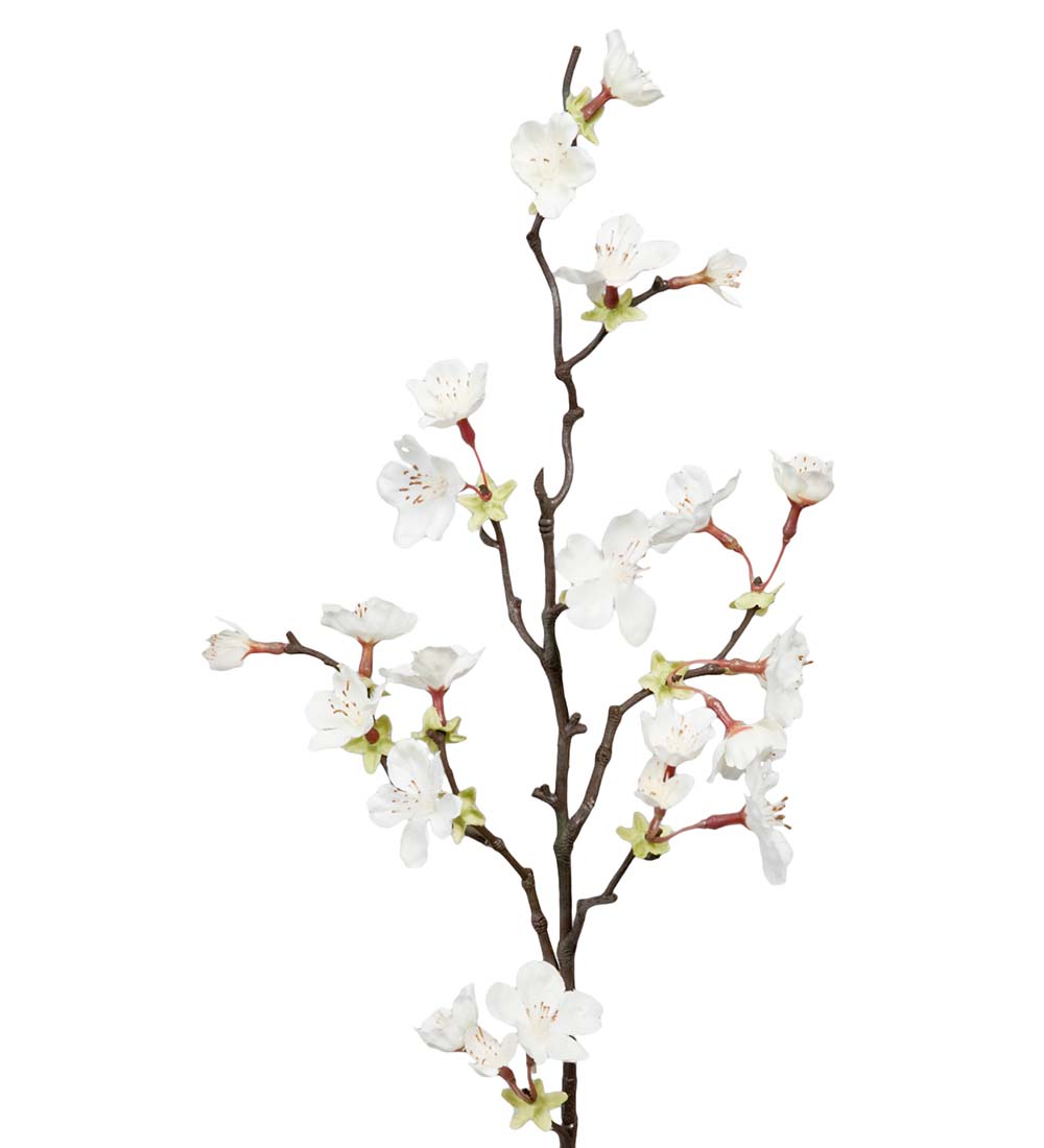 Kirsebærblomst hvit H62 cm