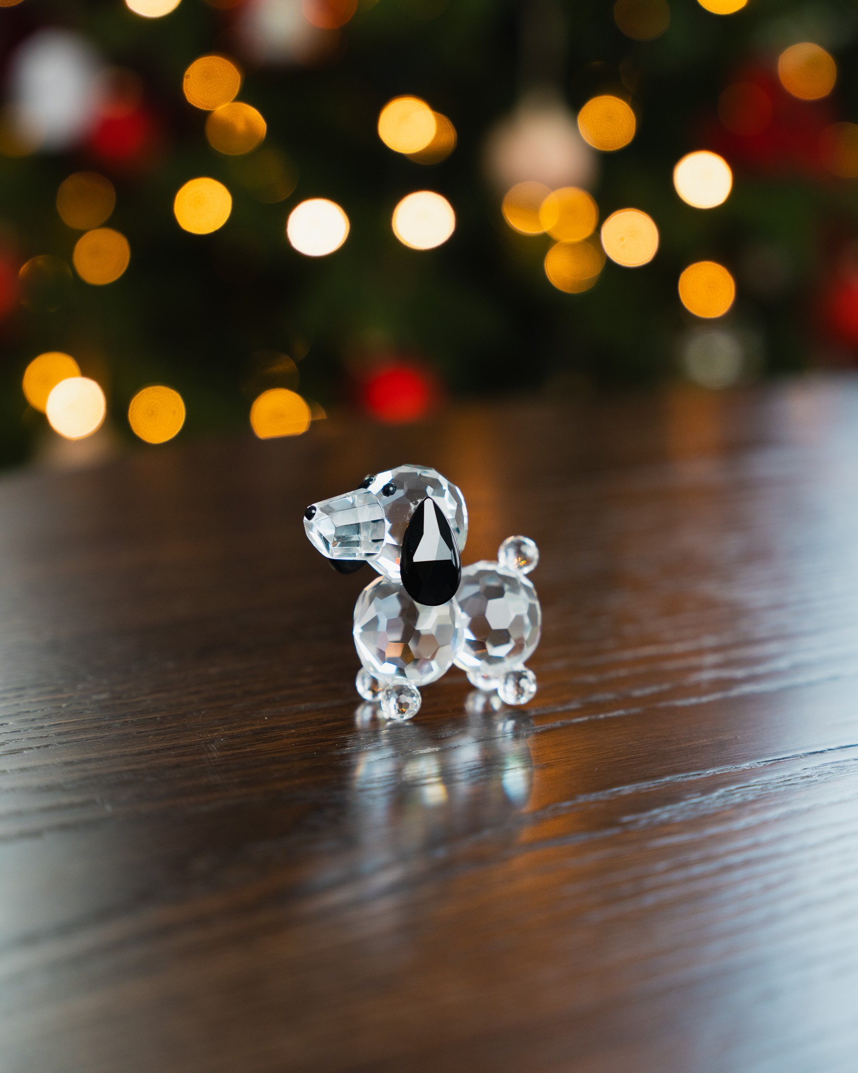 Glasshund med sorte ører