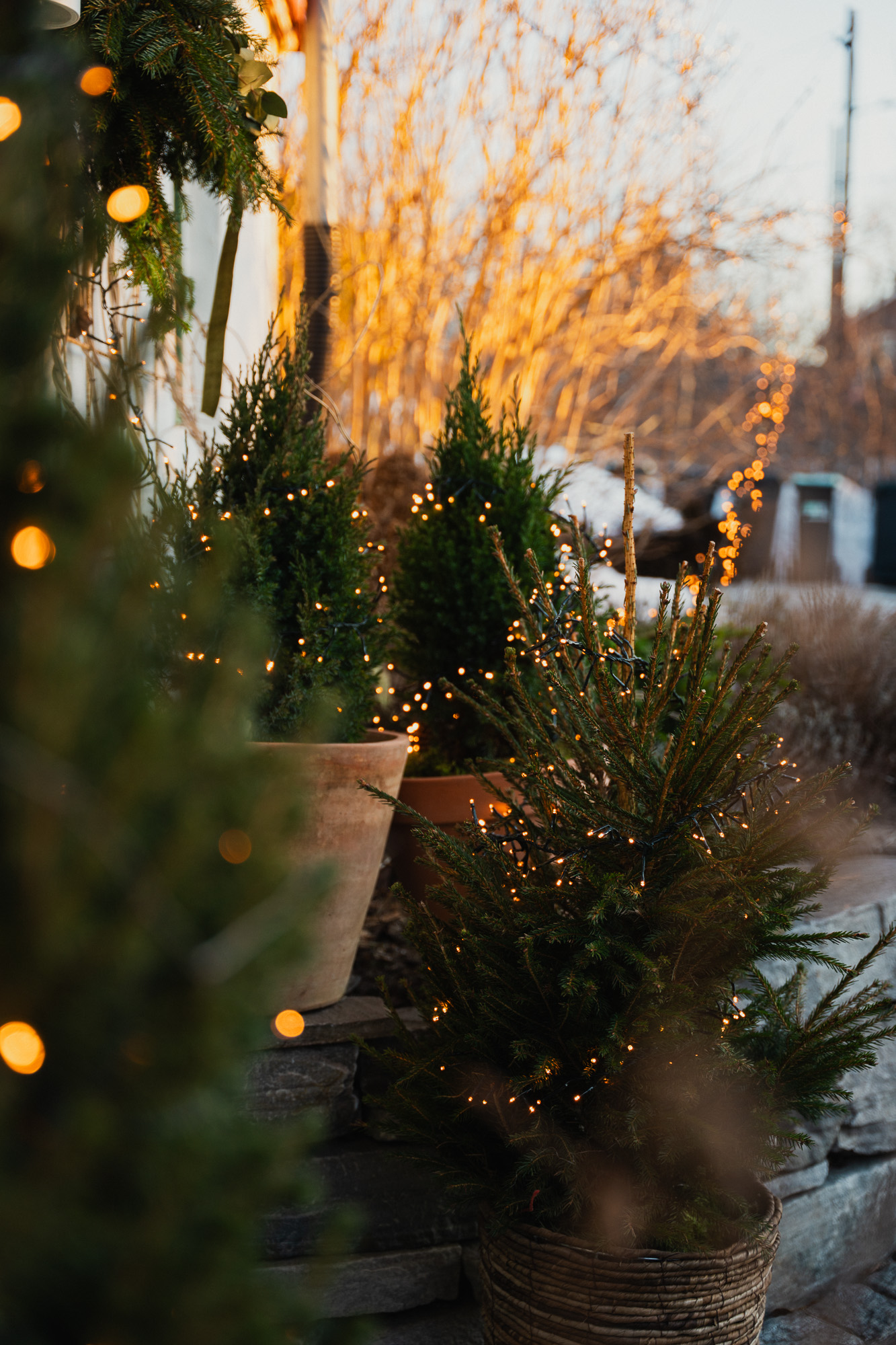 Lyslenker og lysslynger