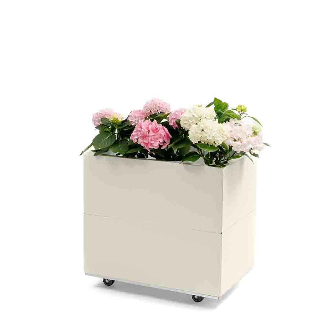 Bedd plantekasse Kalk 60x40x50