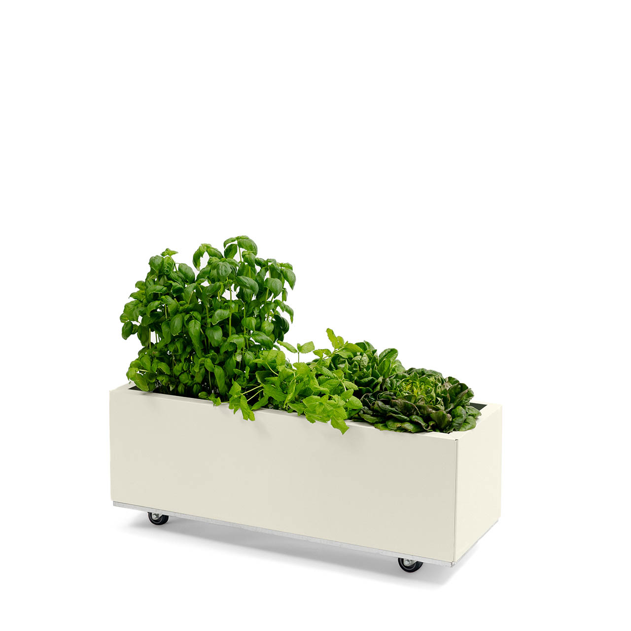 Bedd plantekasse Kalk 80x30x25